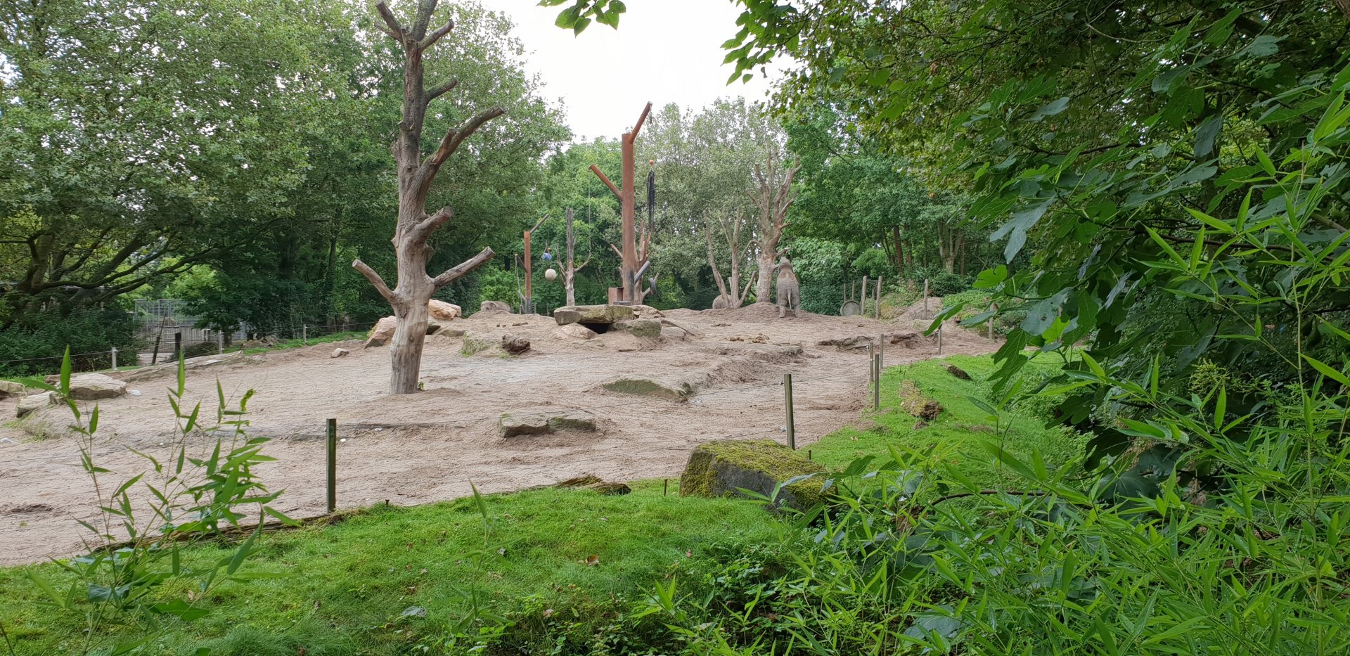 Part outdoor enclosure Asian elephants