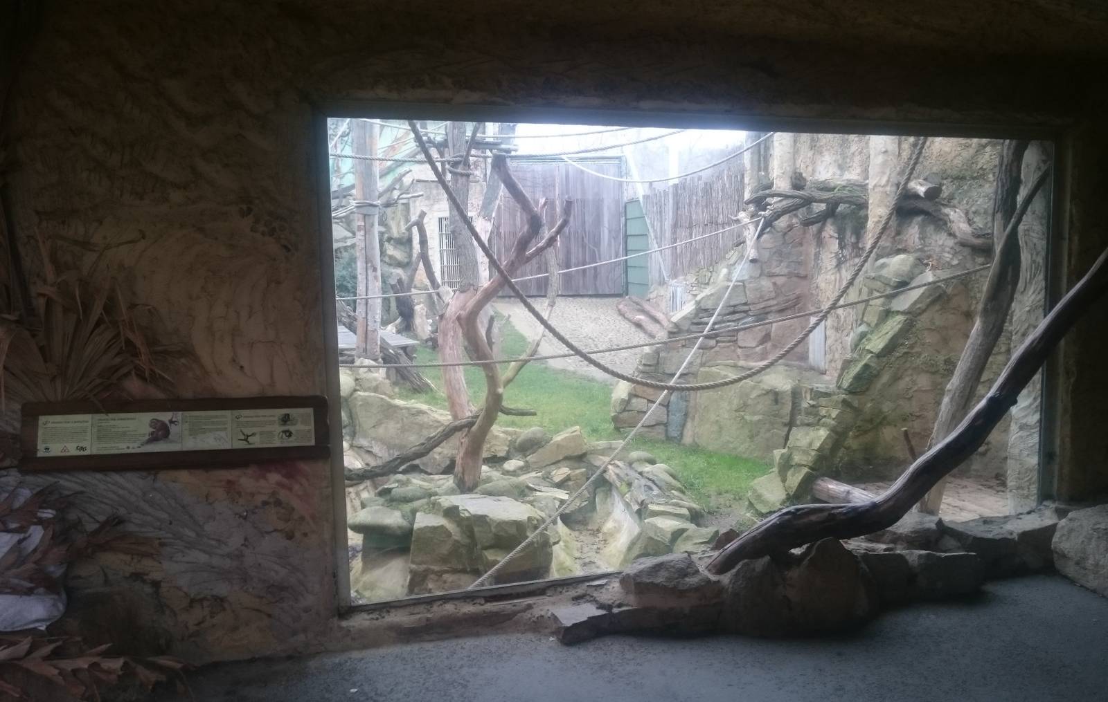 Part outdoor enclosure Orang utans