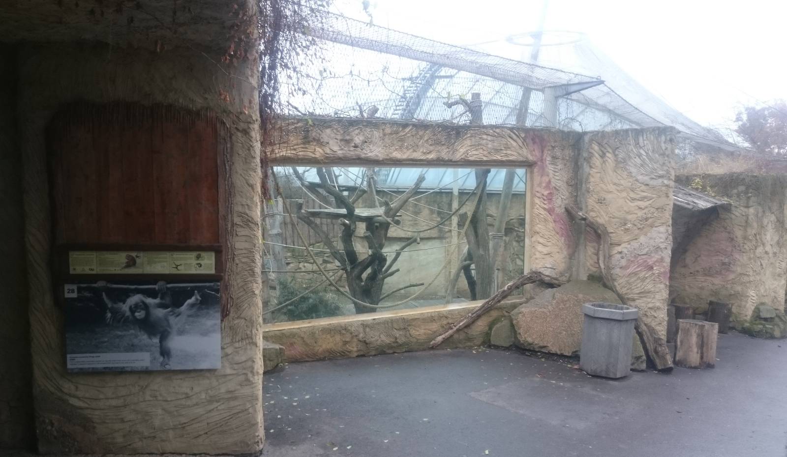 Part outdoor enclosure Orang utans