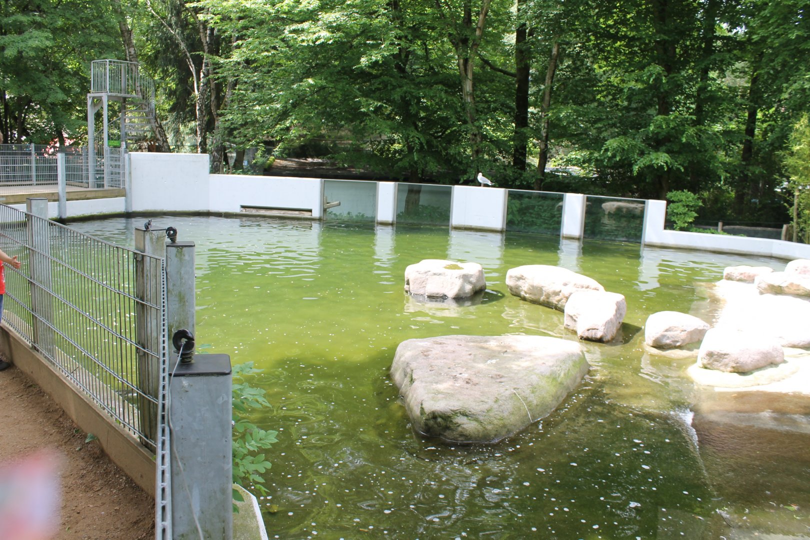 Part Penguin-enclosure