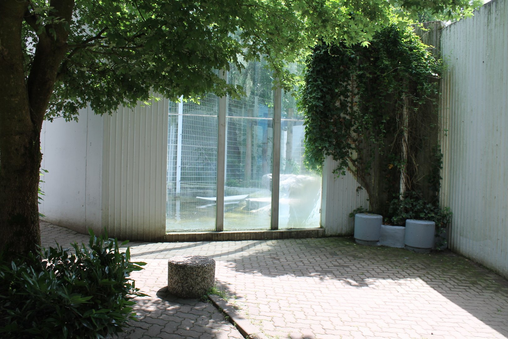 Part Polar bear enclosure