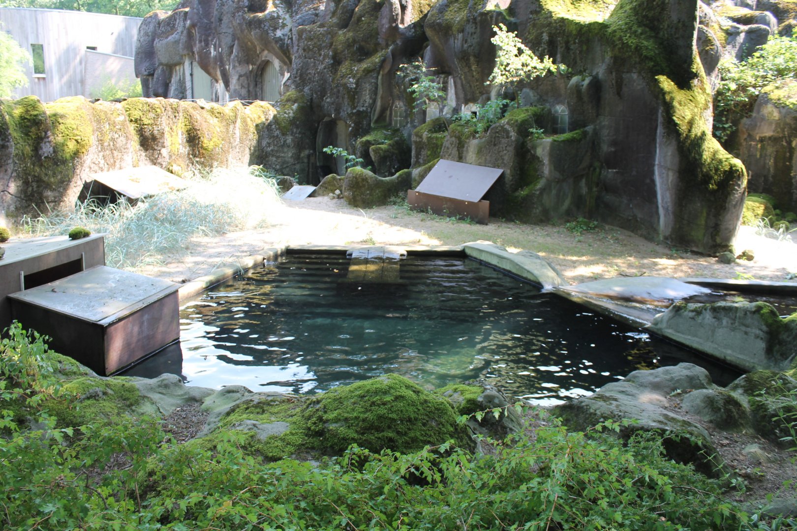 Part Ringed seal-enclosure