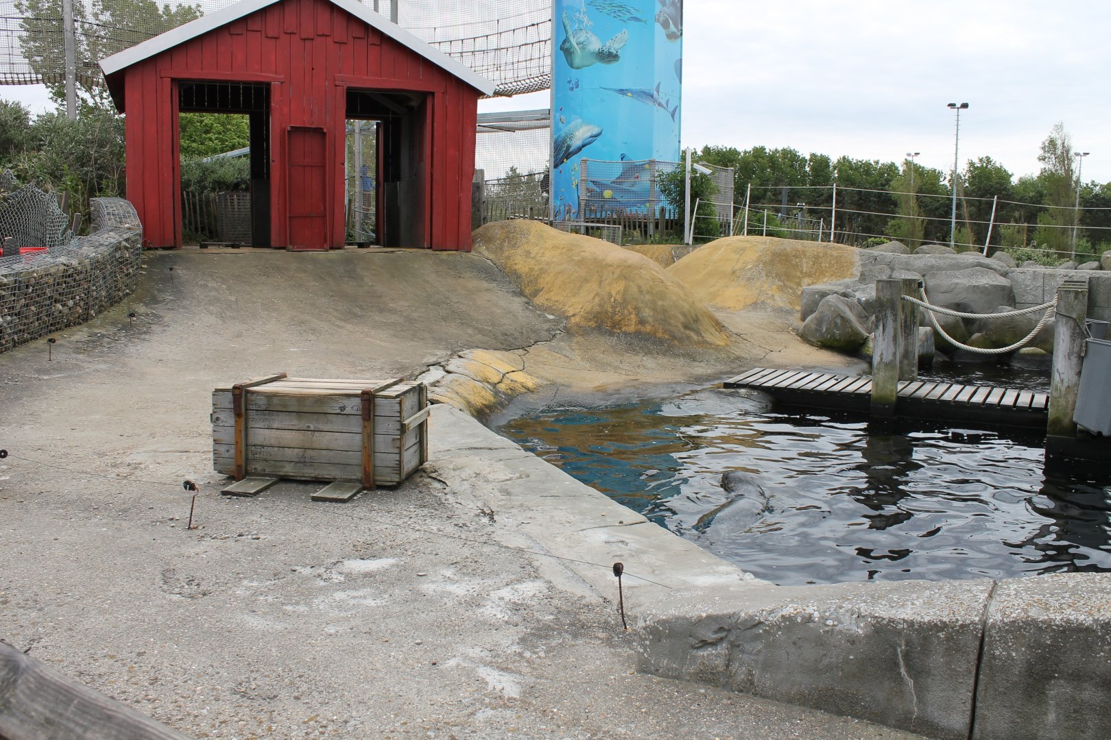 Part Seal - Sea-lion enclosure