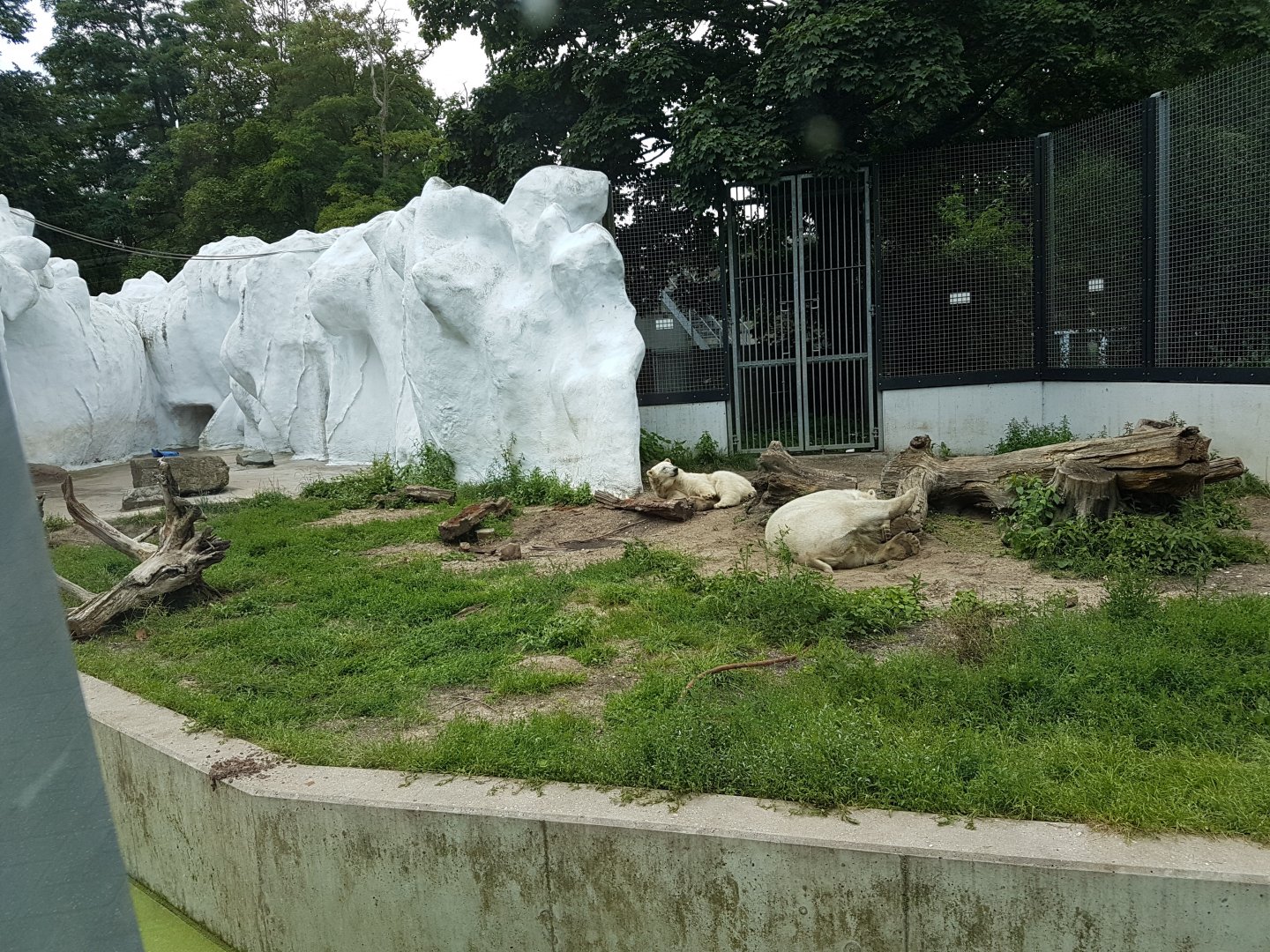 Part second Polar bear enclosure