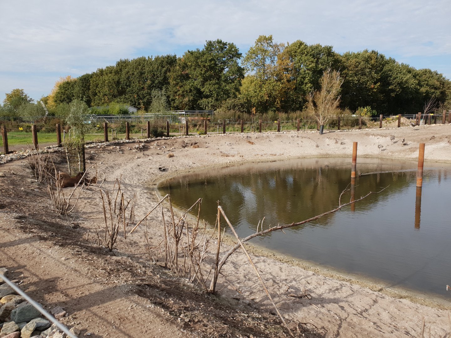 Part South America enclosure