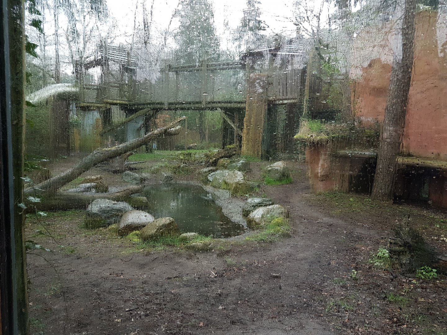 Part Spotted hyena-enclosure