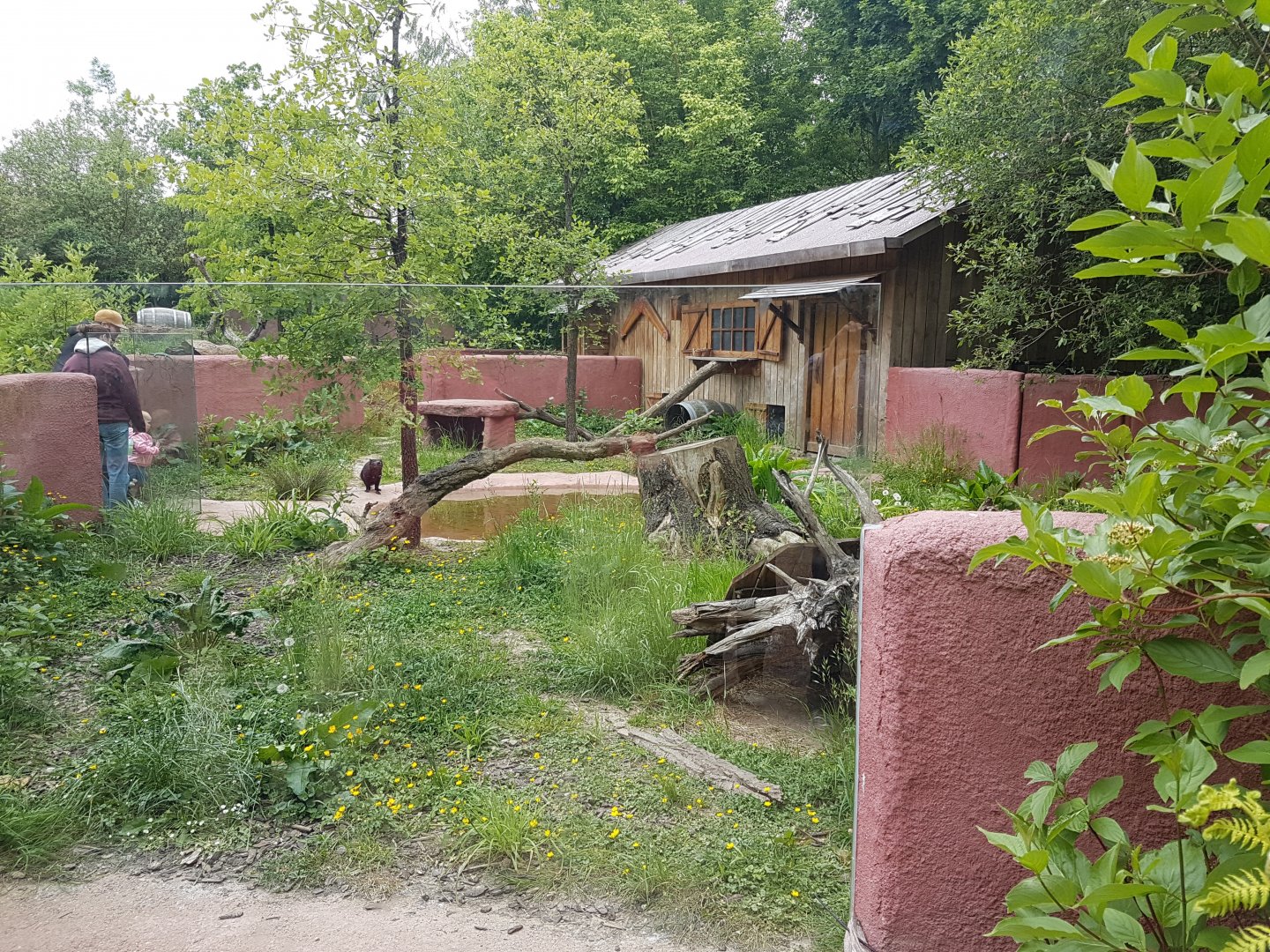 Part Tasmanian devil-enclosure