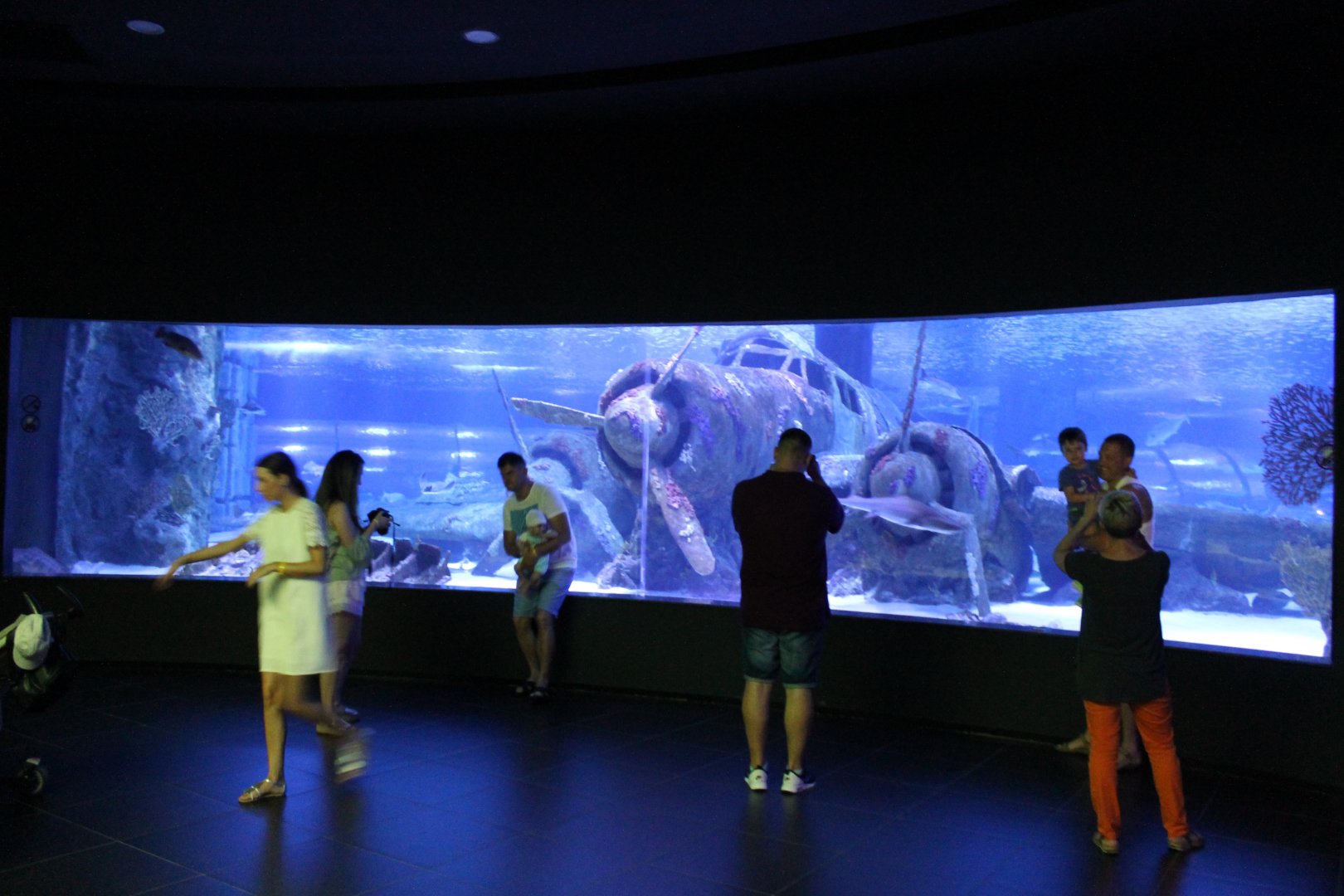 Part tunnel aquarium