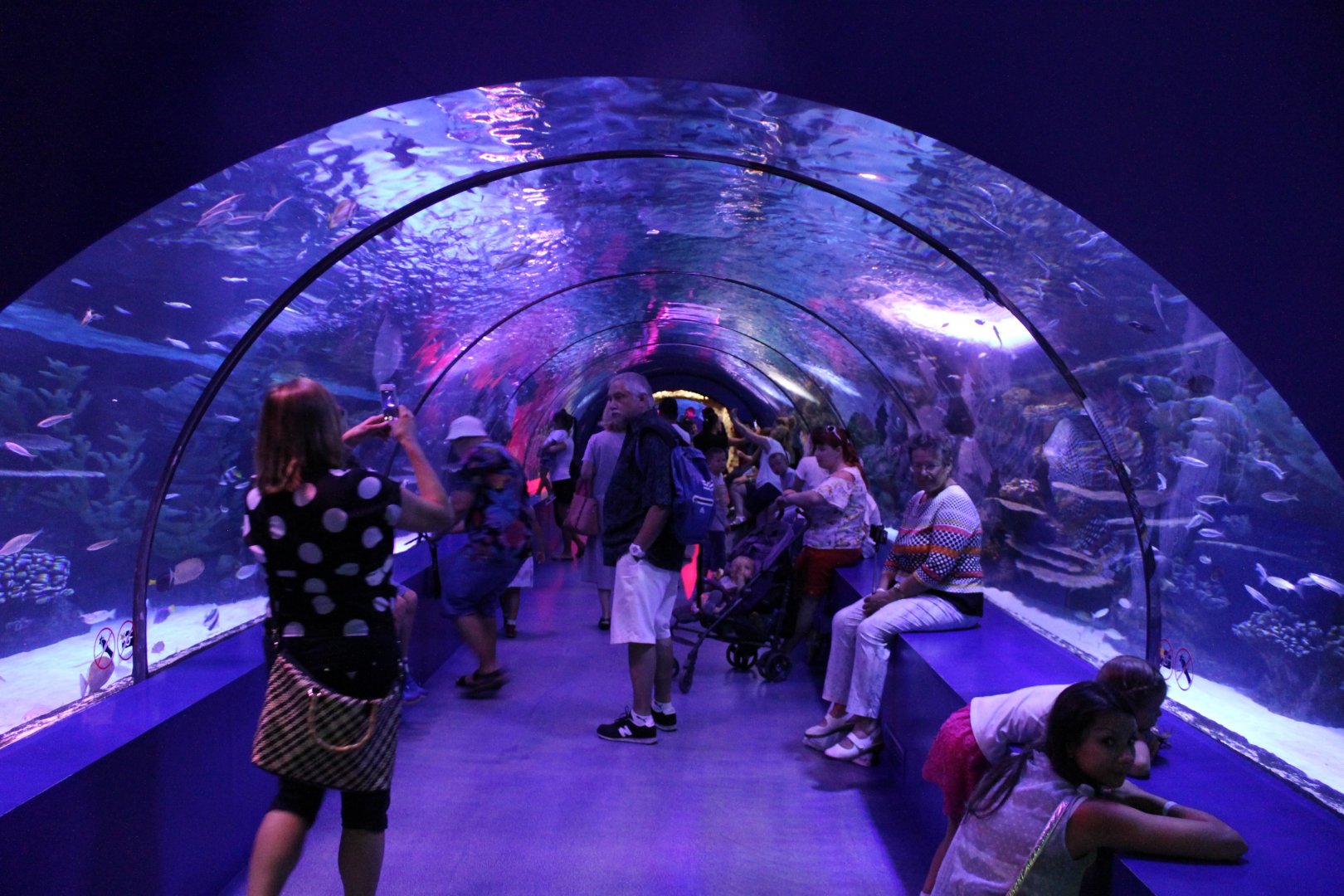 Part tunnel aquarium