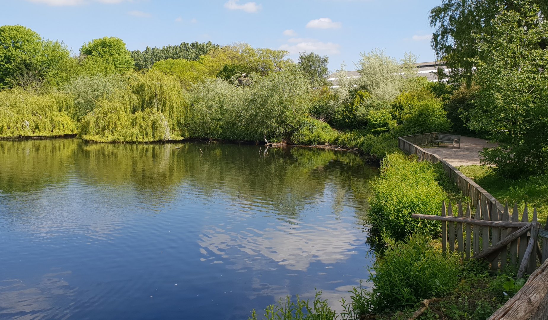 Part Waterfowl walk-through