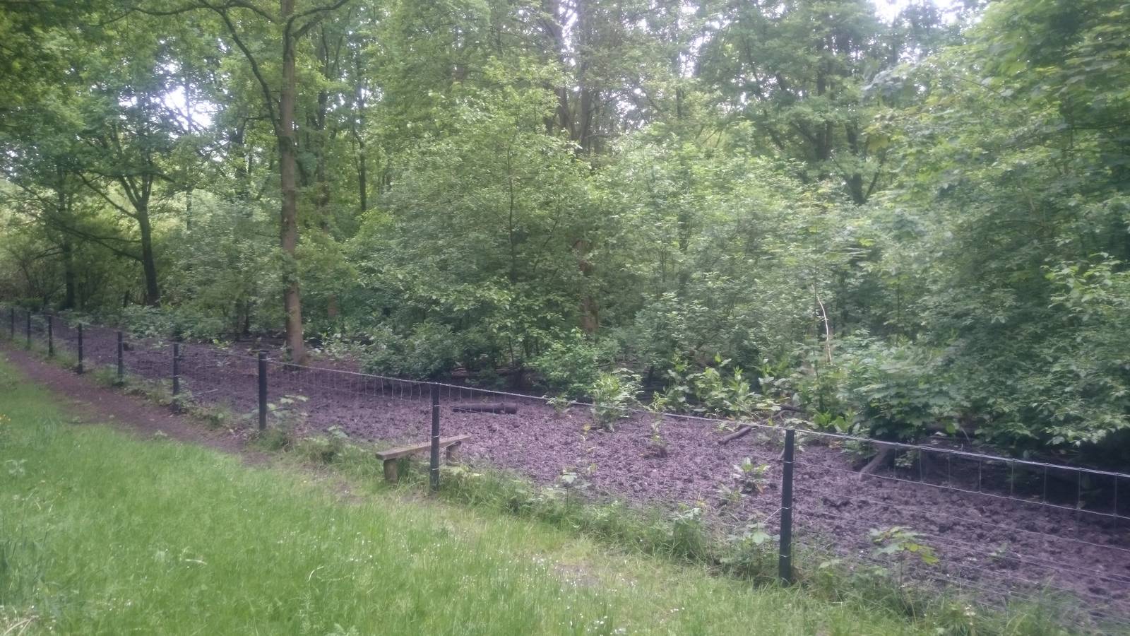 Part Wild boar enclosure