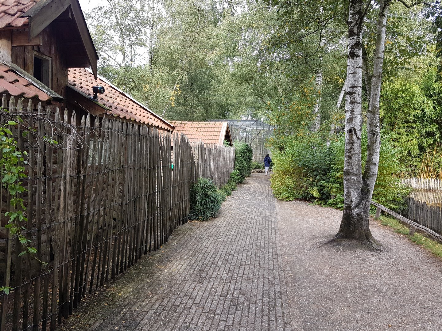 Parthway to the monkeys