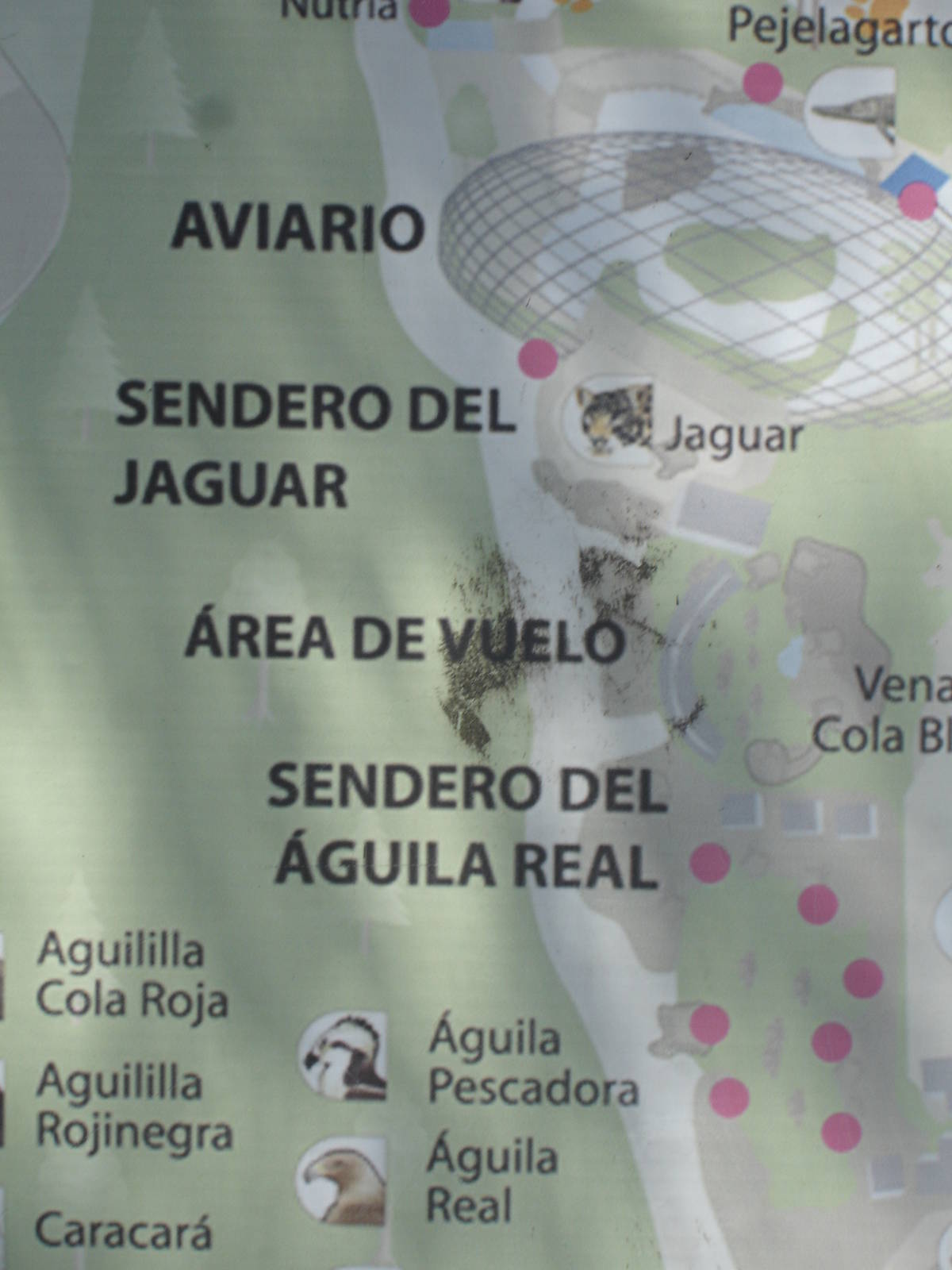 Partial map