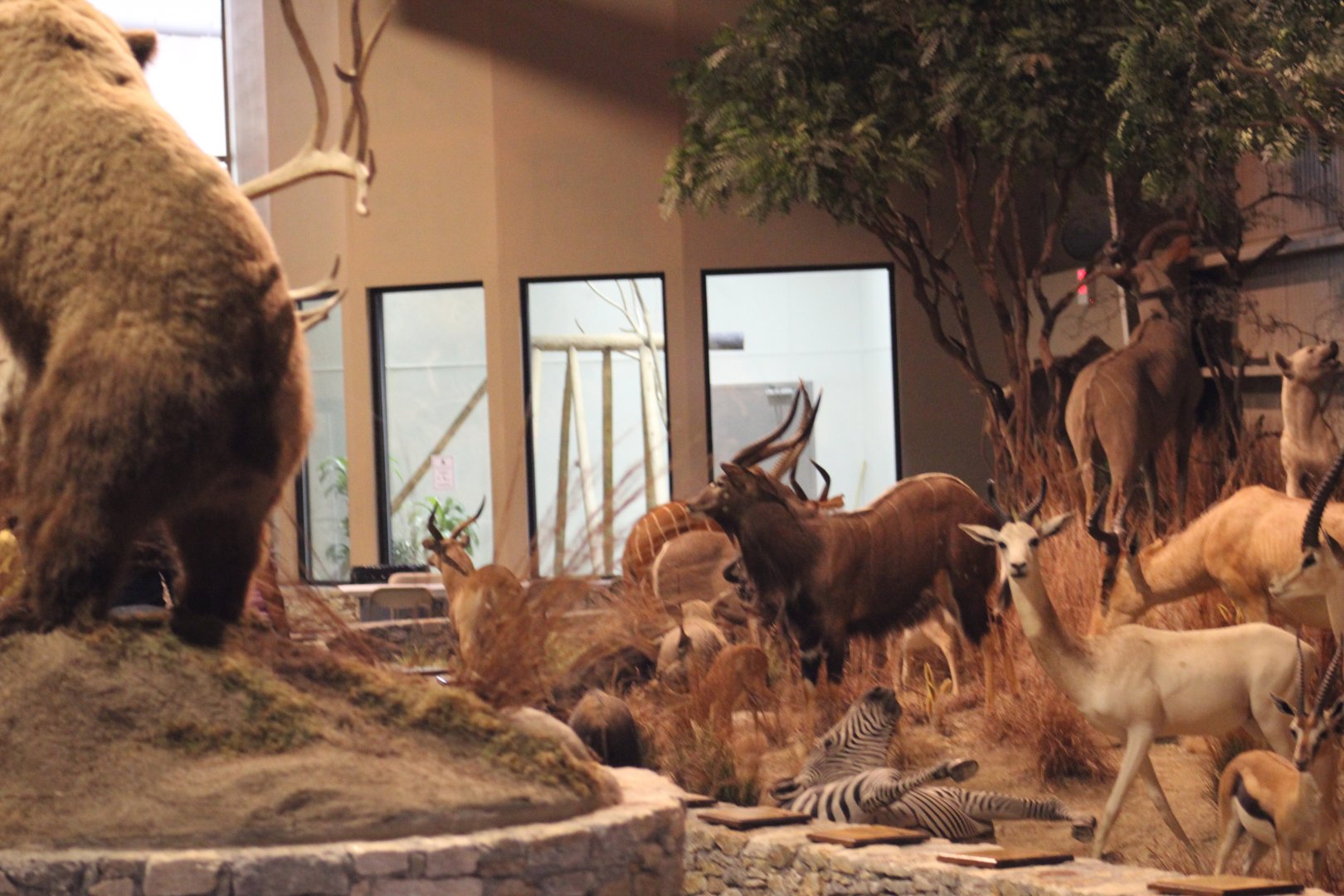 Partial View of Museum