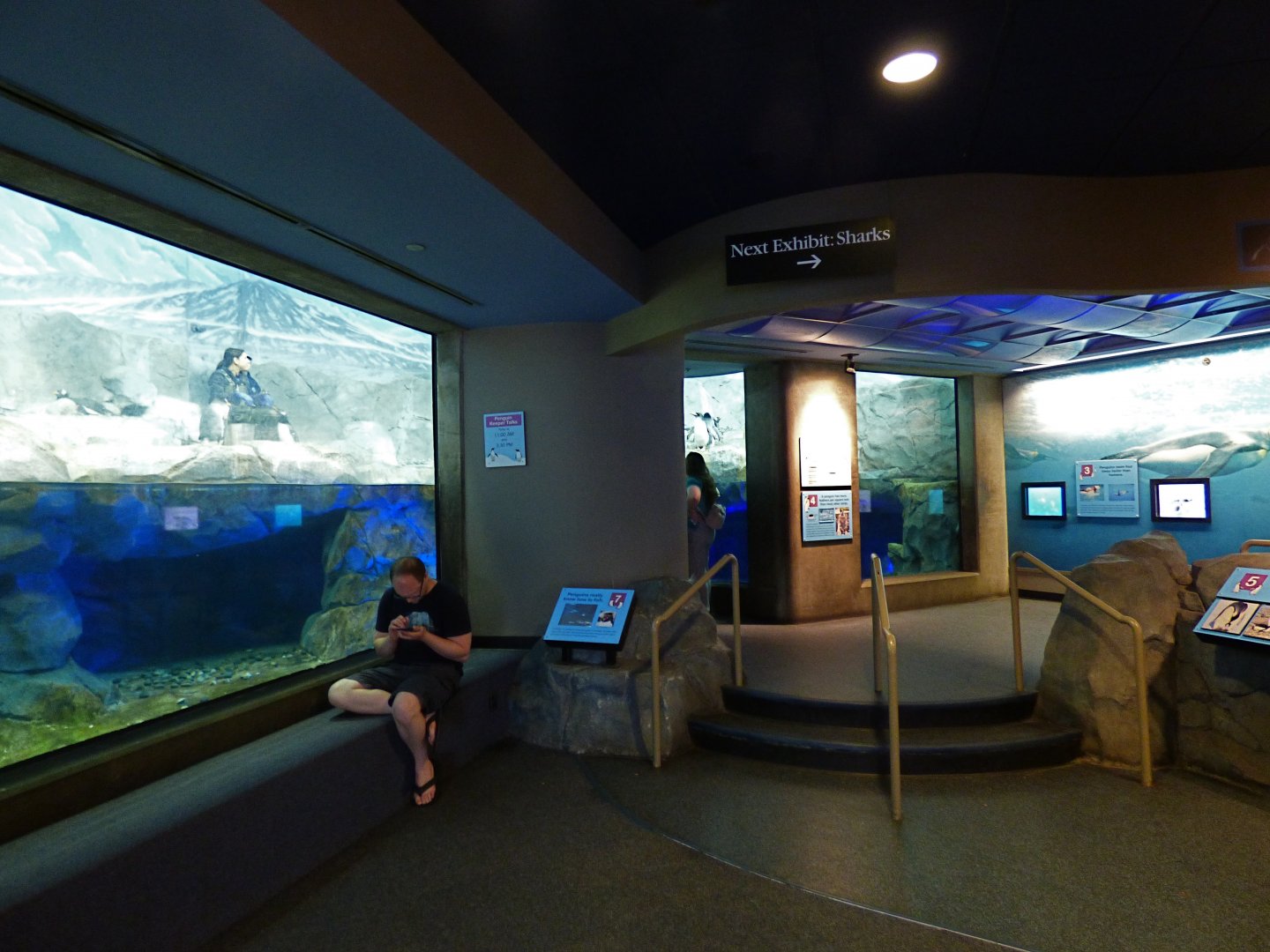 Partial View of Penguin Exhibit - May 2018