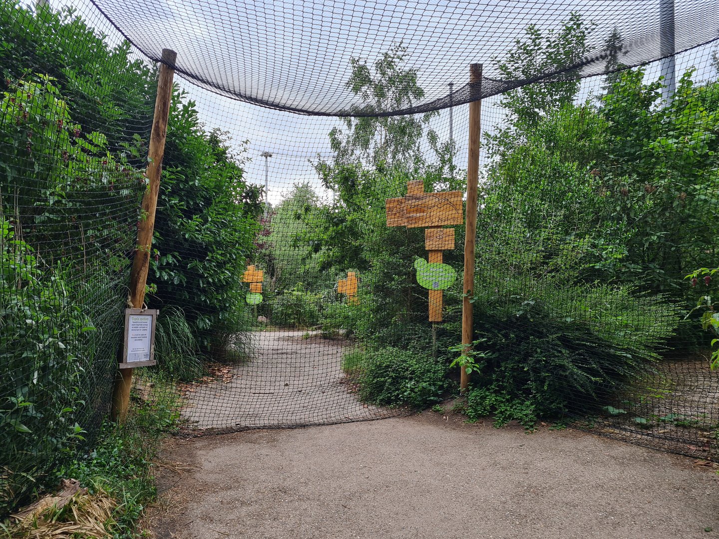 Partially re-opened aviary
