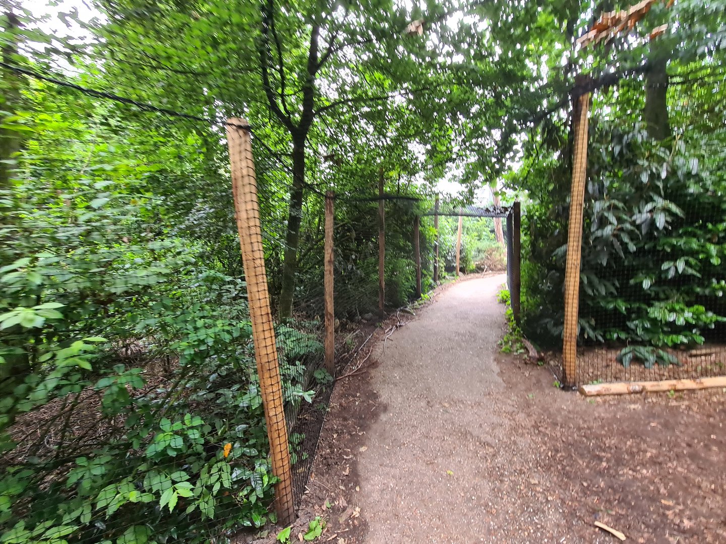 Partially re-opened giant aviary