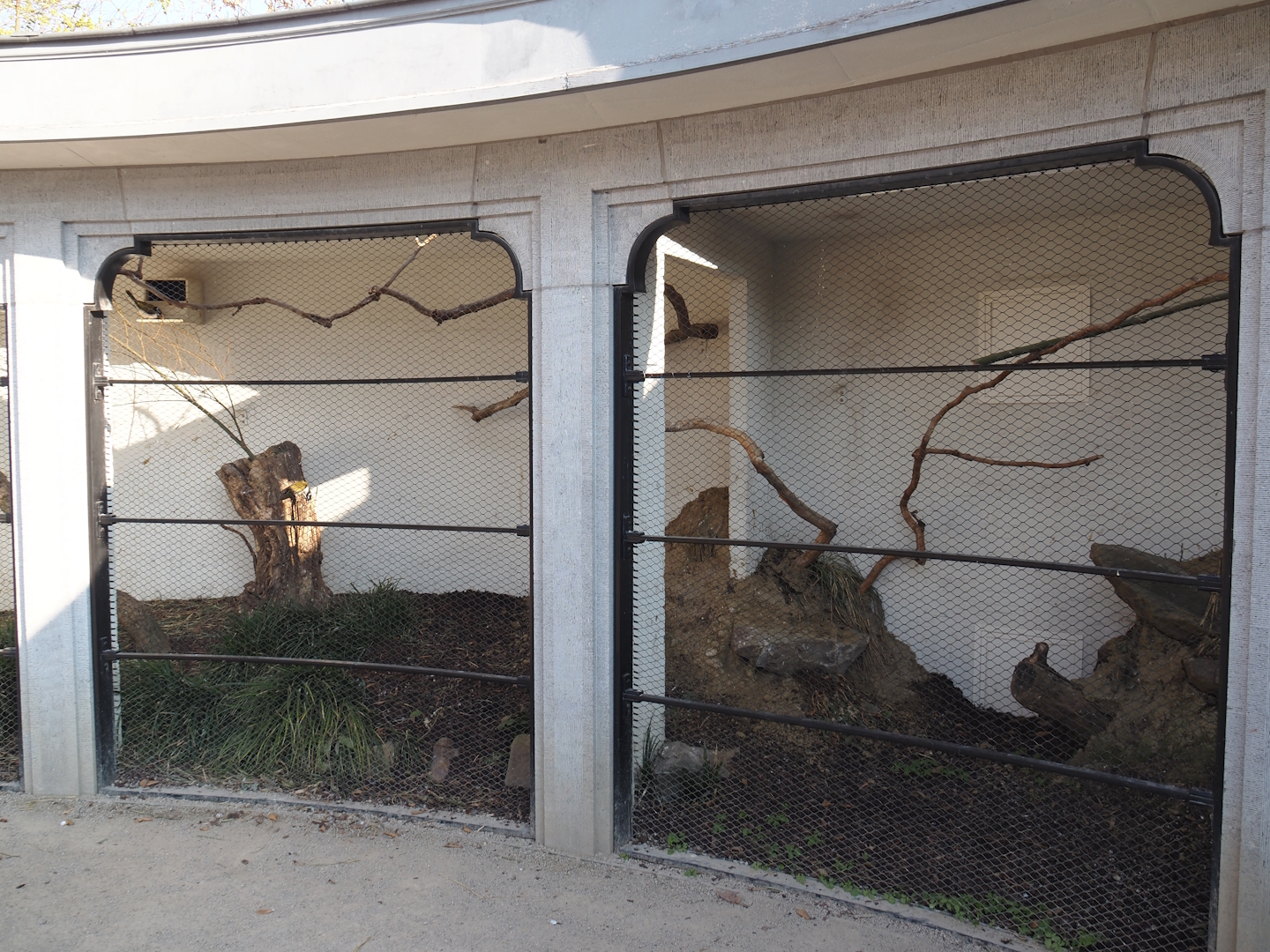 Partially redone Swift parrot and Blue-faced honeyeater aviary, 2025-03-16