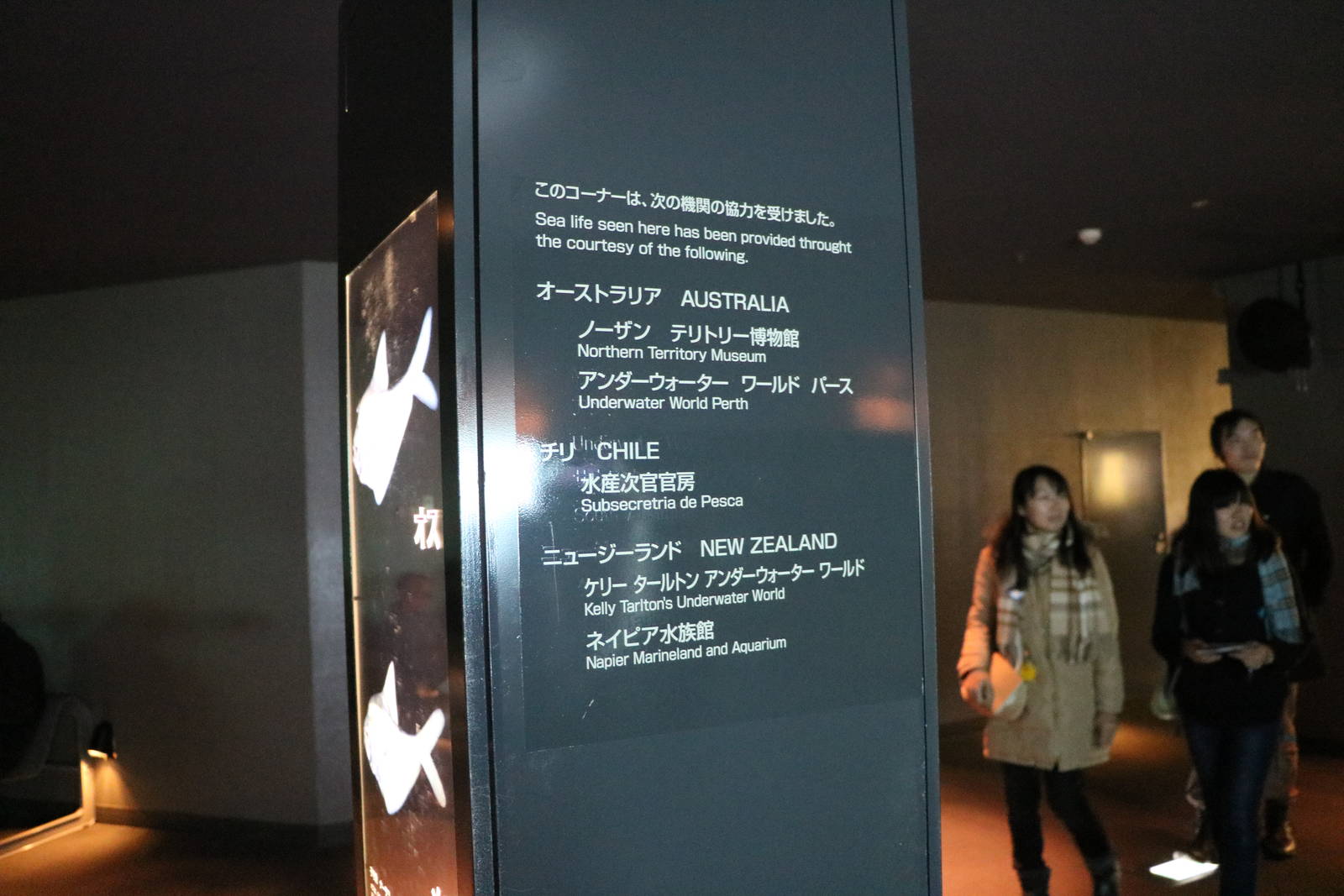 Partner aquaria - Tokyo Sea Life Park, February 2016