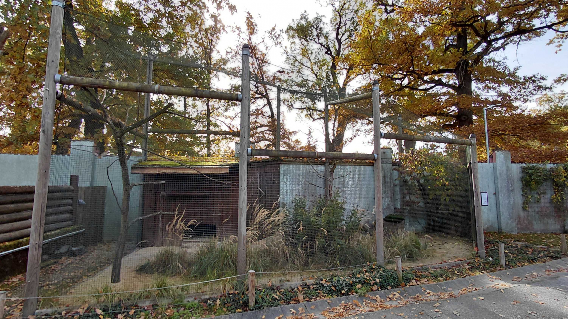 Partridge + roller aviary