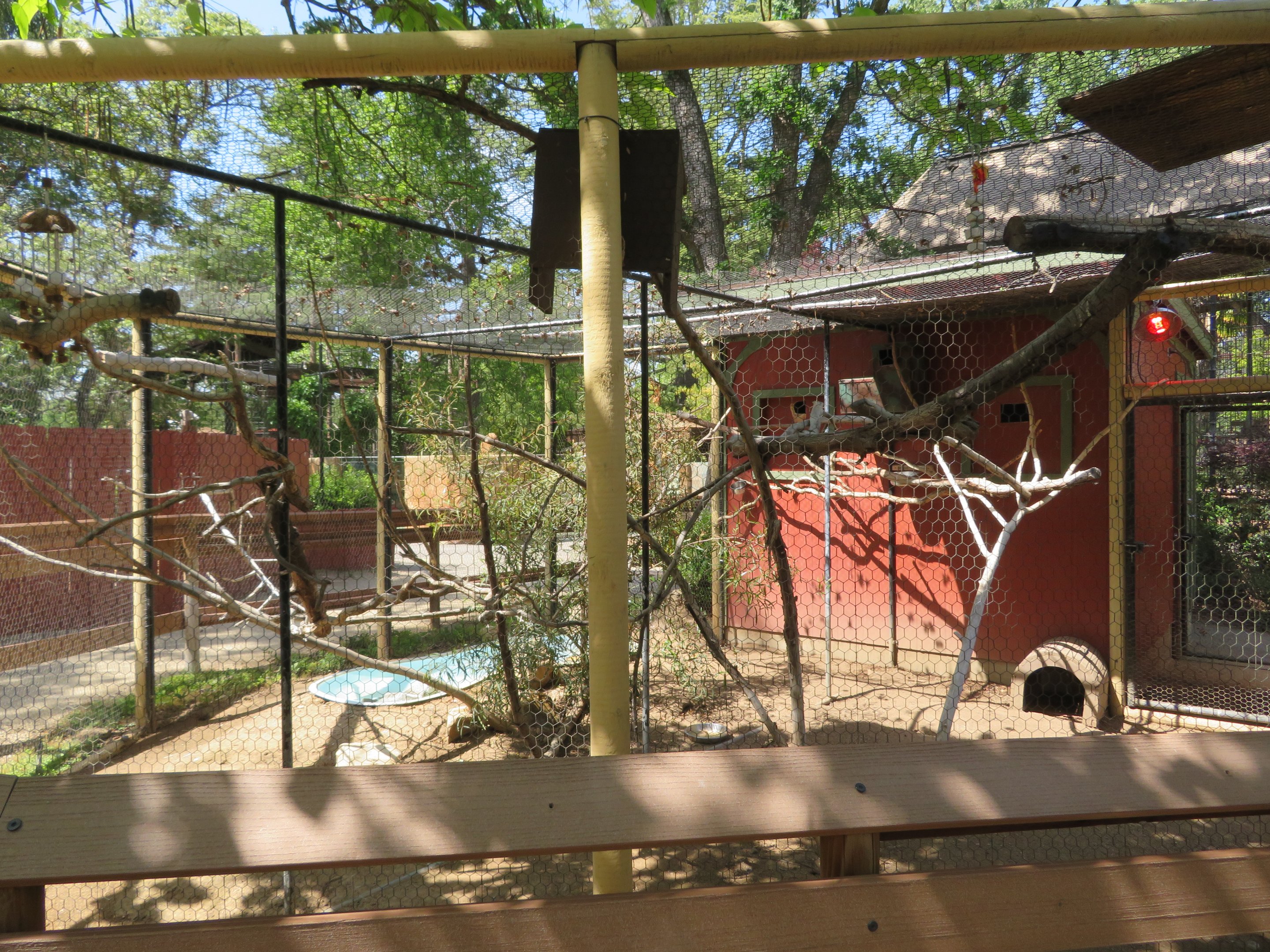 Partridge/Vasa Parrot Aviary