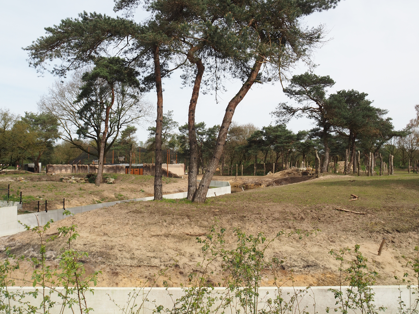 Parts of African bush elephant valley and Spotted hyena exhibit, 2024-04-06