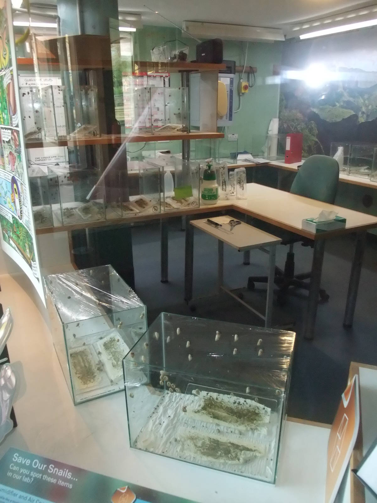 Partula Breeding Room at London, 16/11/11