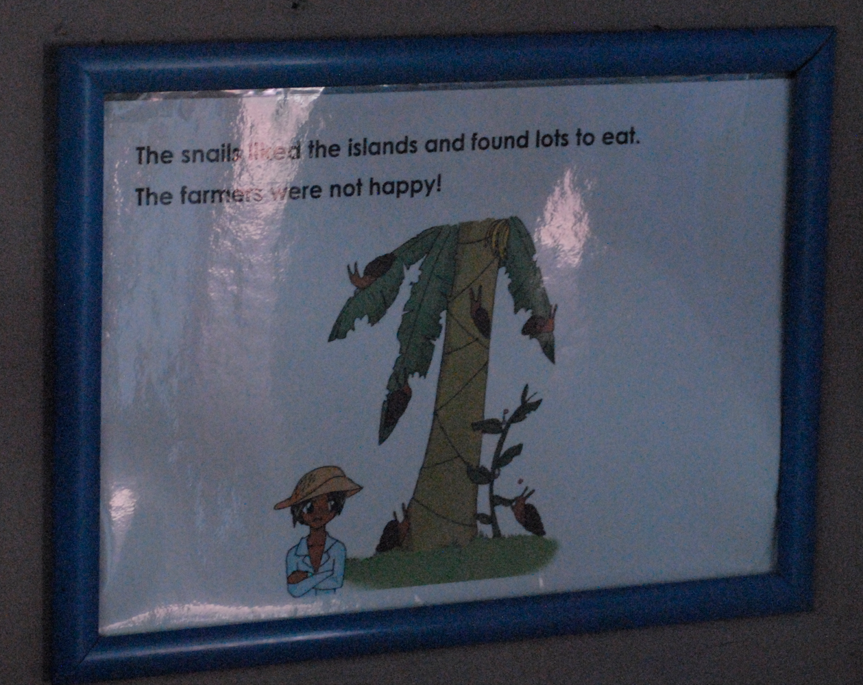 Partula Snails.. manga-style ! - Marwell Zoological Park 2022