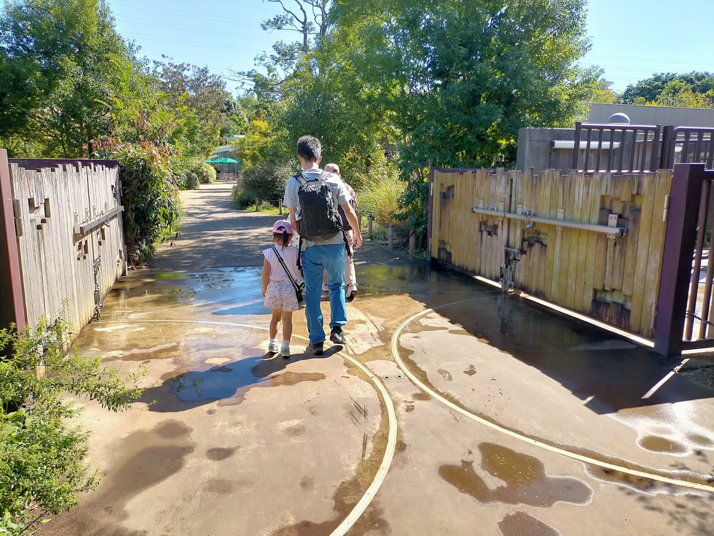Passage for black rhino from night area to exhibit