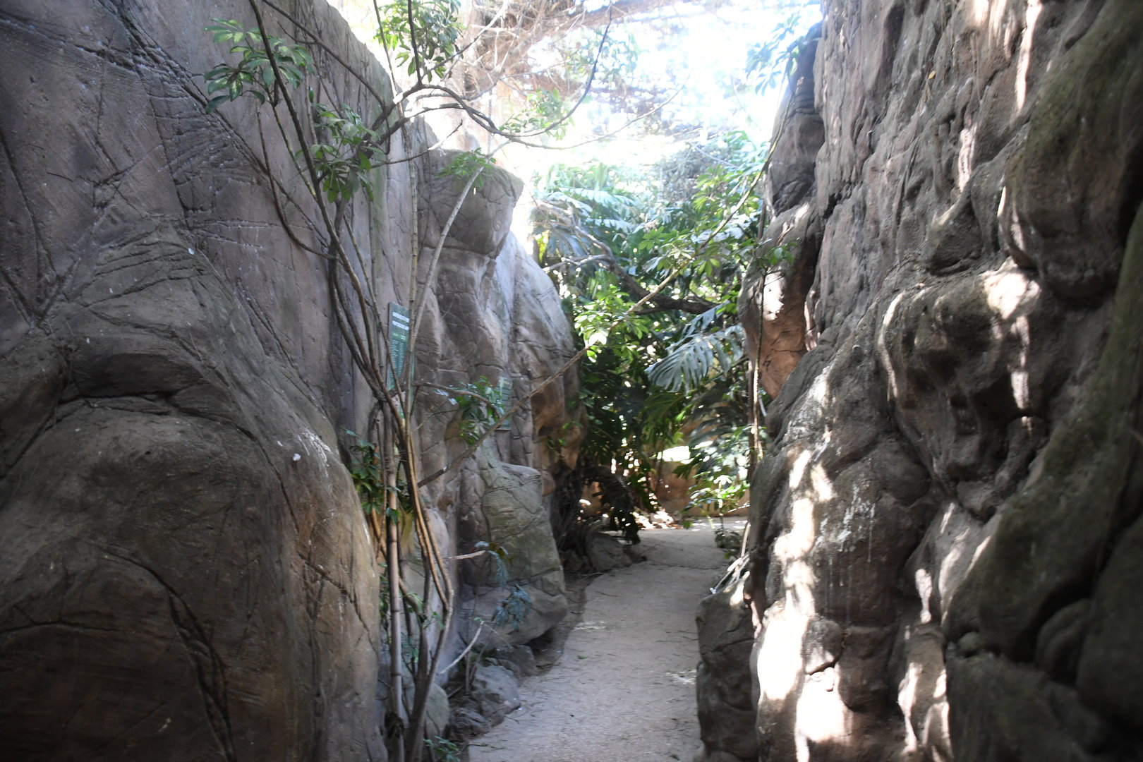 Passage from the Fruit-Bats Aviary to Chimpanzees' Exhibit