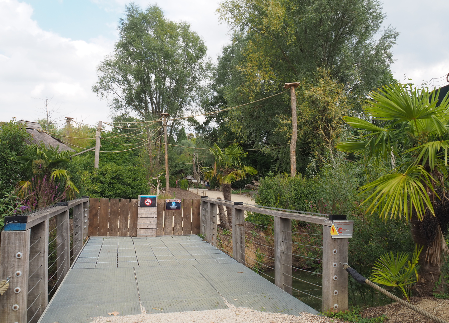 Passage from the Peruvian squirrel monkey to the Black howler monkey island, 2020-09-02