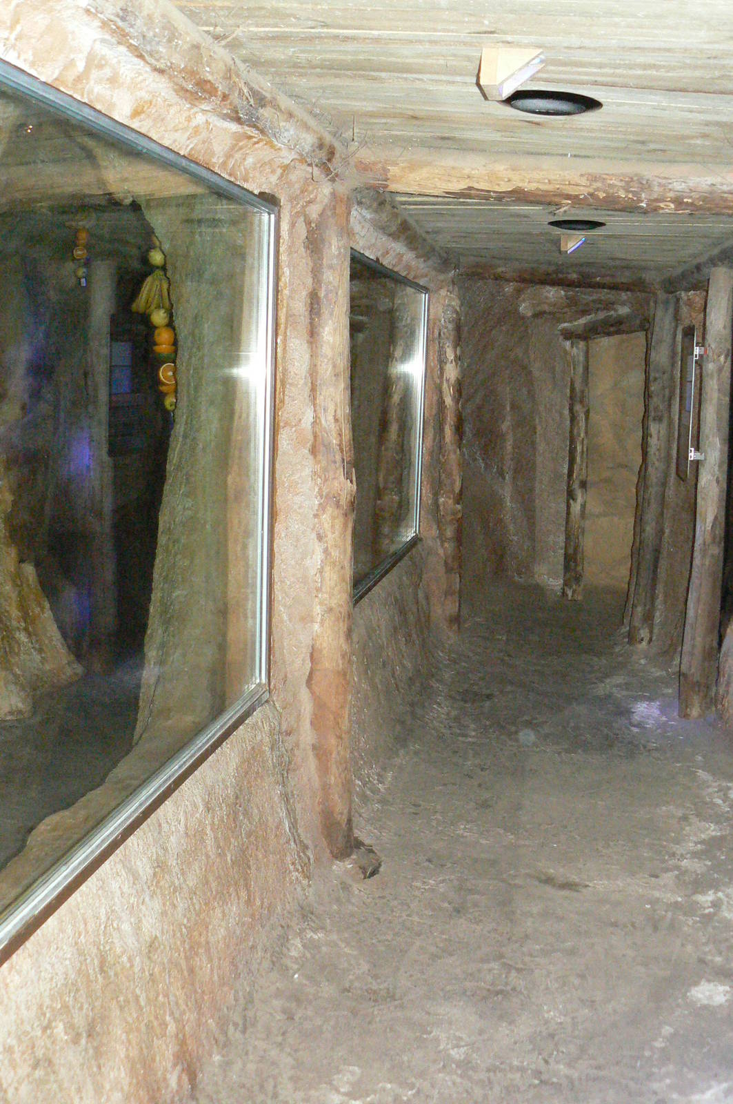 Passage in front of the egyptian fruit bats enclosure in the elephants hous