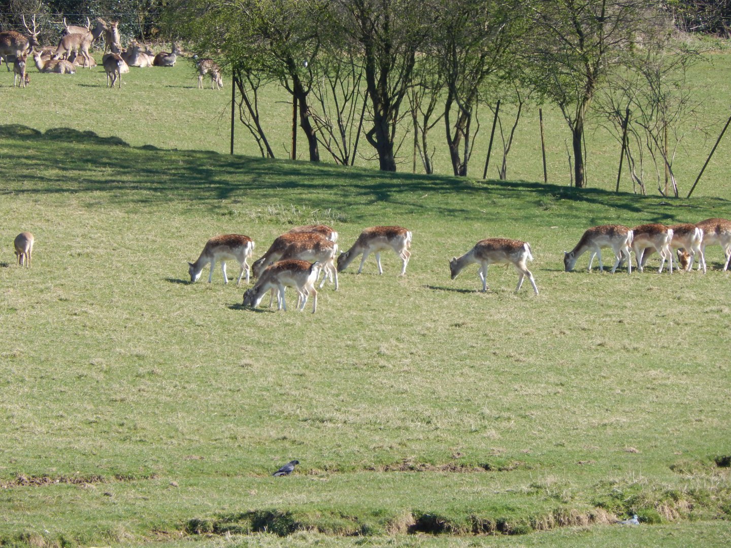 Passage through Asia 190322