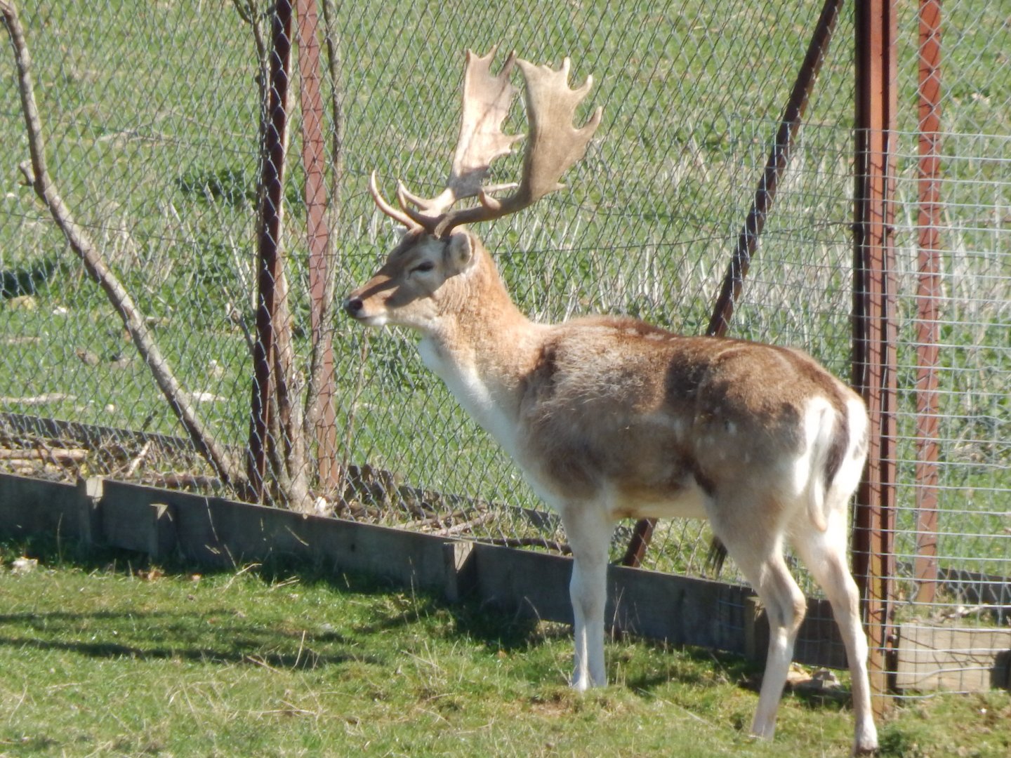 Passage through Asia 190322