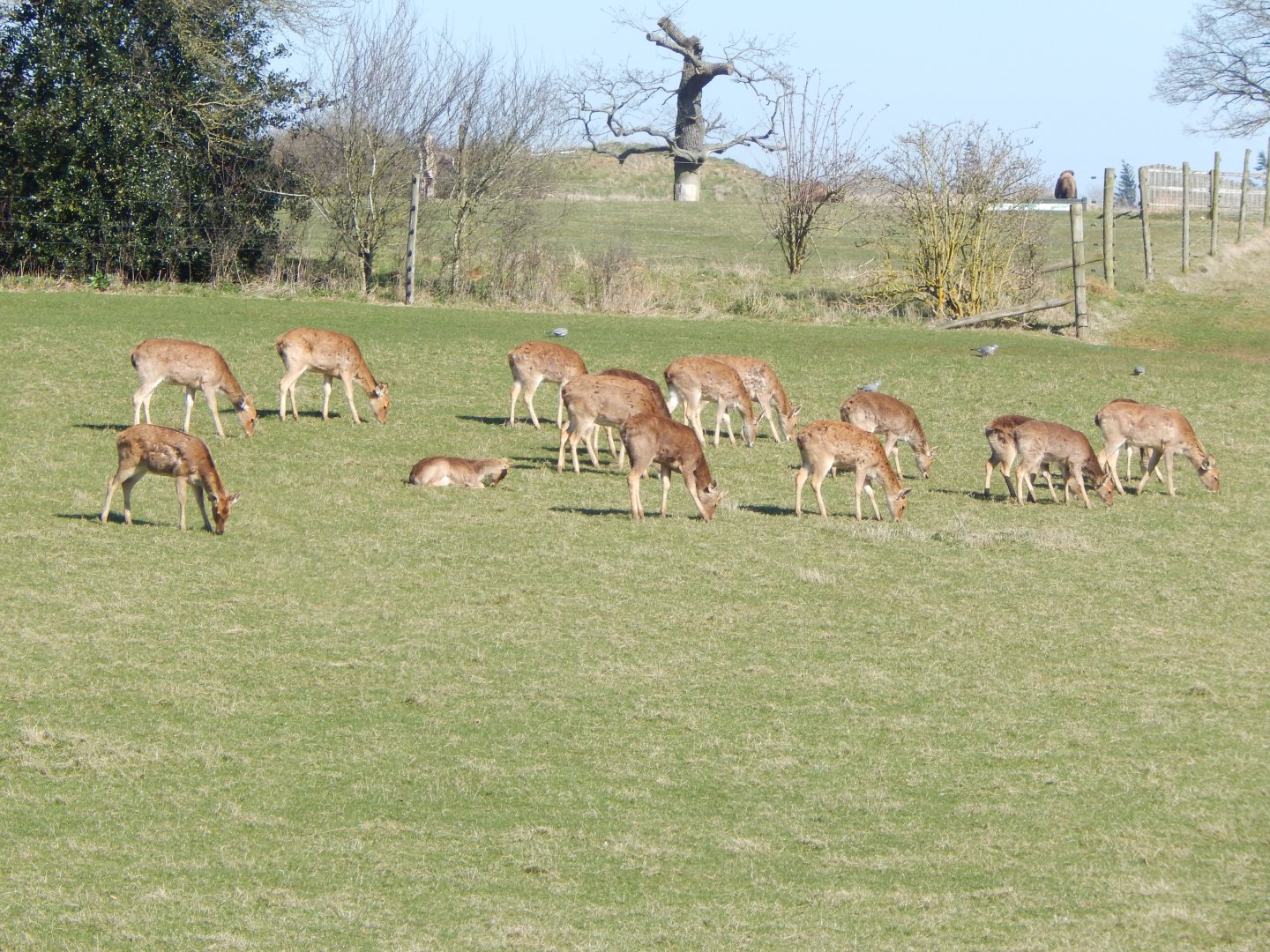 Passage through Asia 190322
