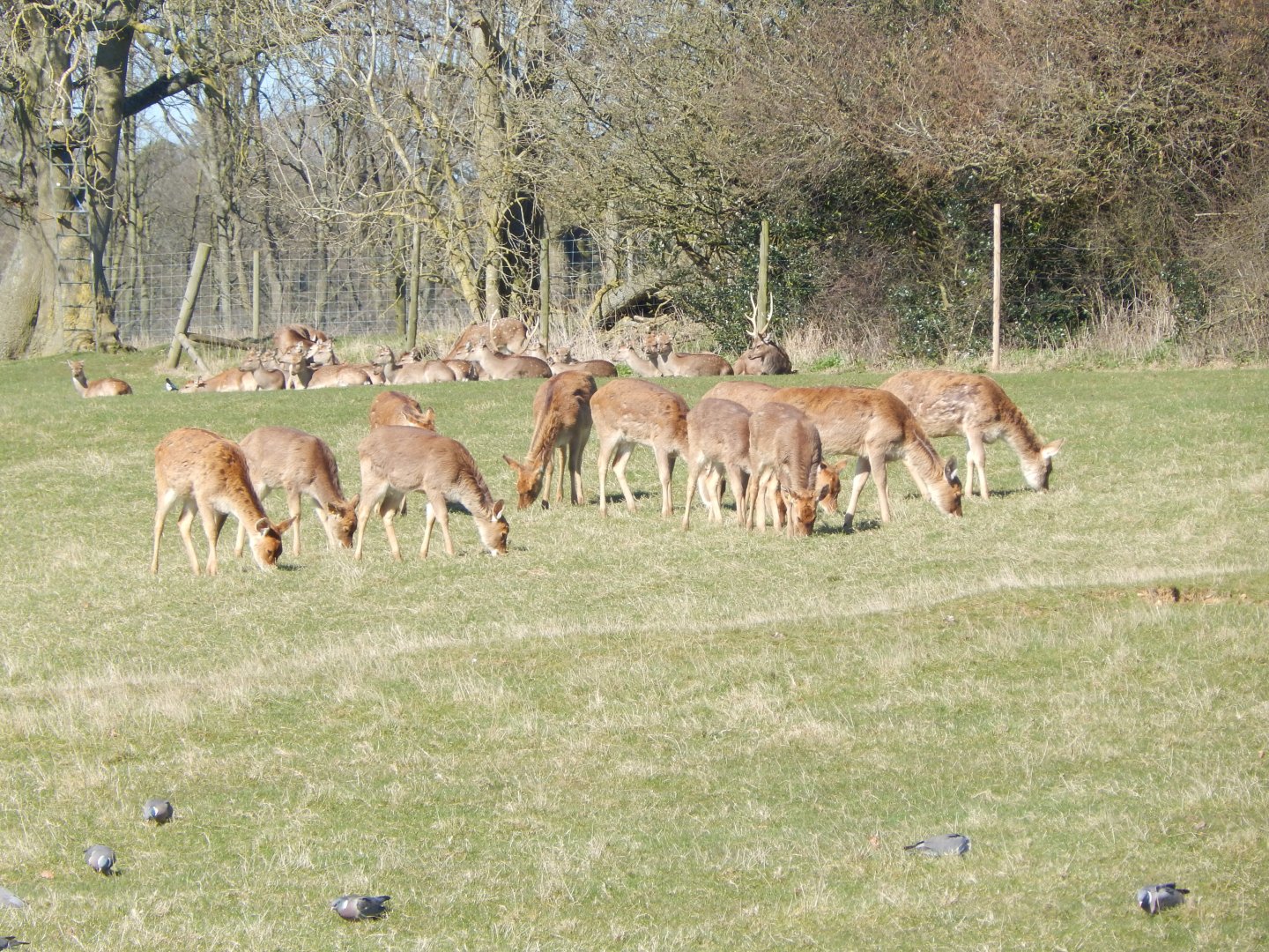 Passage through Asia 190322