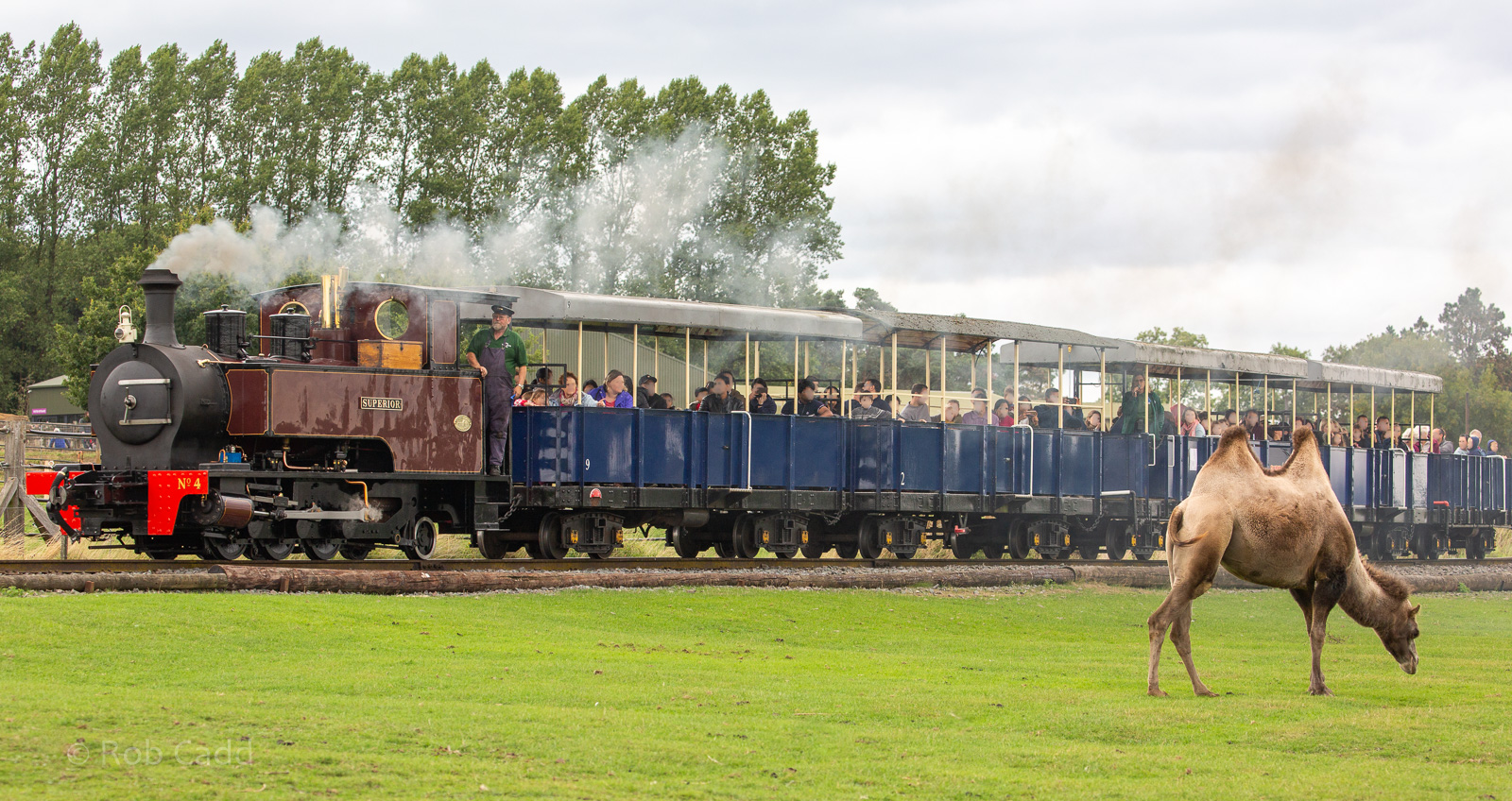 Passage through Asia; Jumbo Express : Whipsnade : 27 Aug 2018