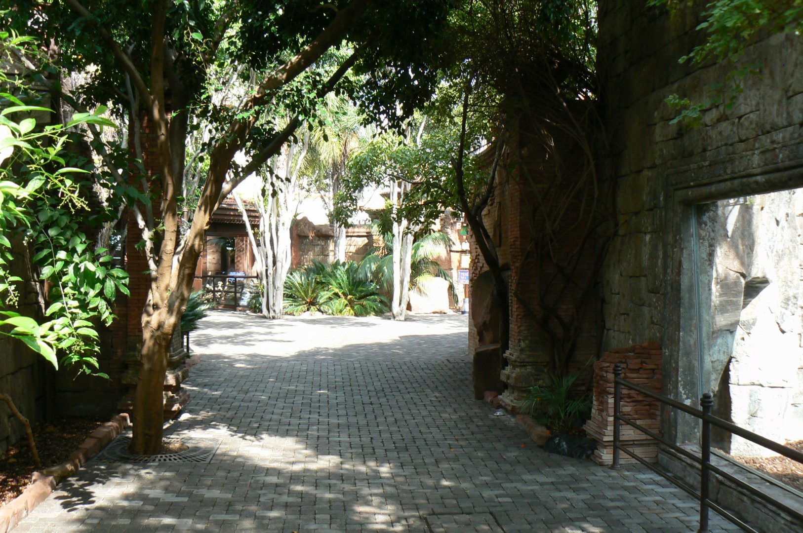 Passage towards Indo-Pacific reptiles area