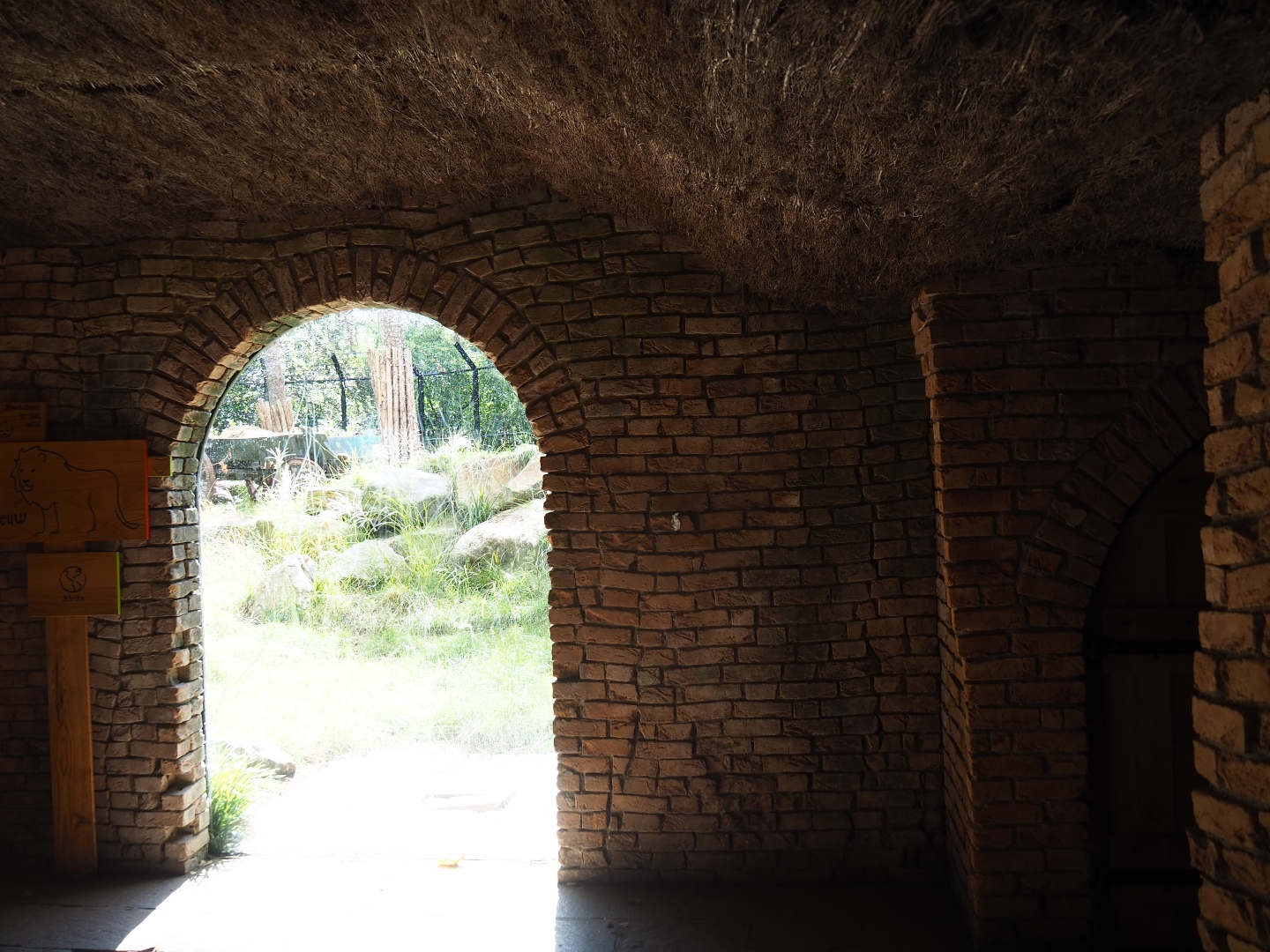 Passage towards lion viewing area
