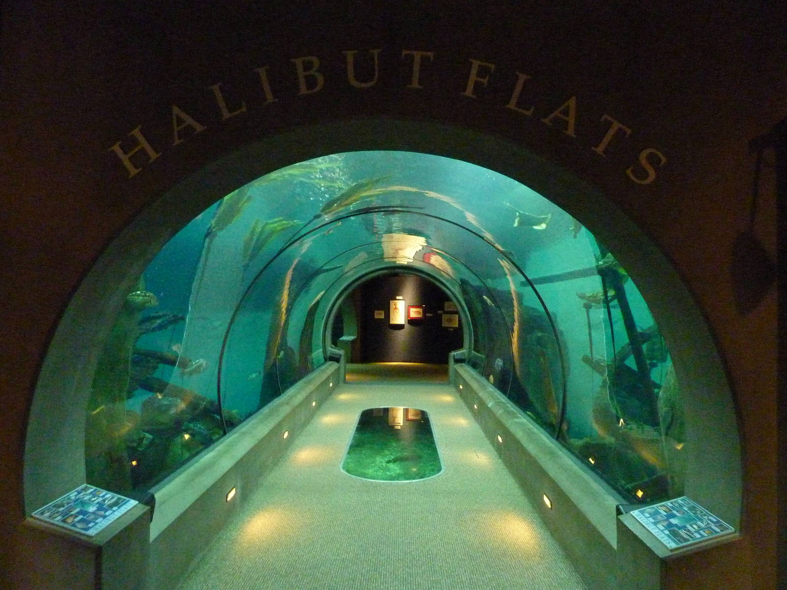 Passages of the Deep - Halibut Flats