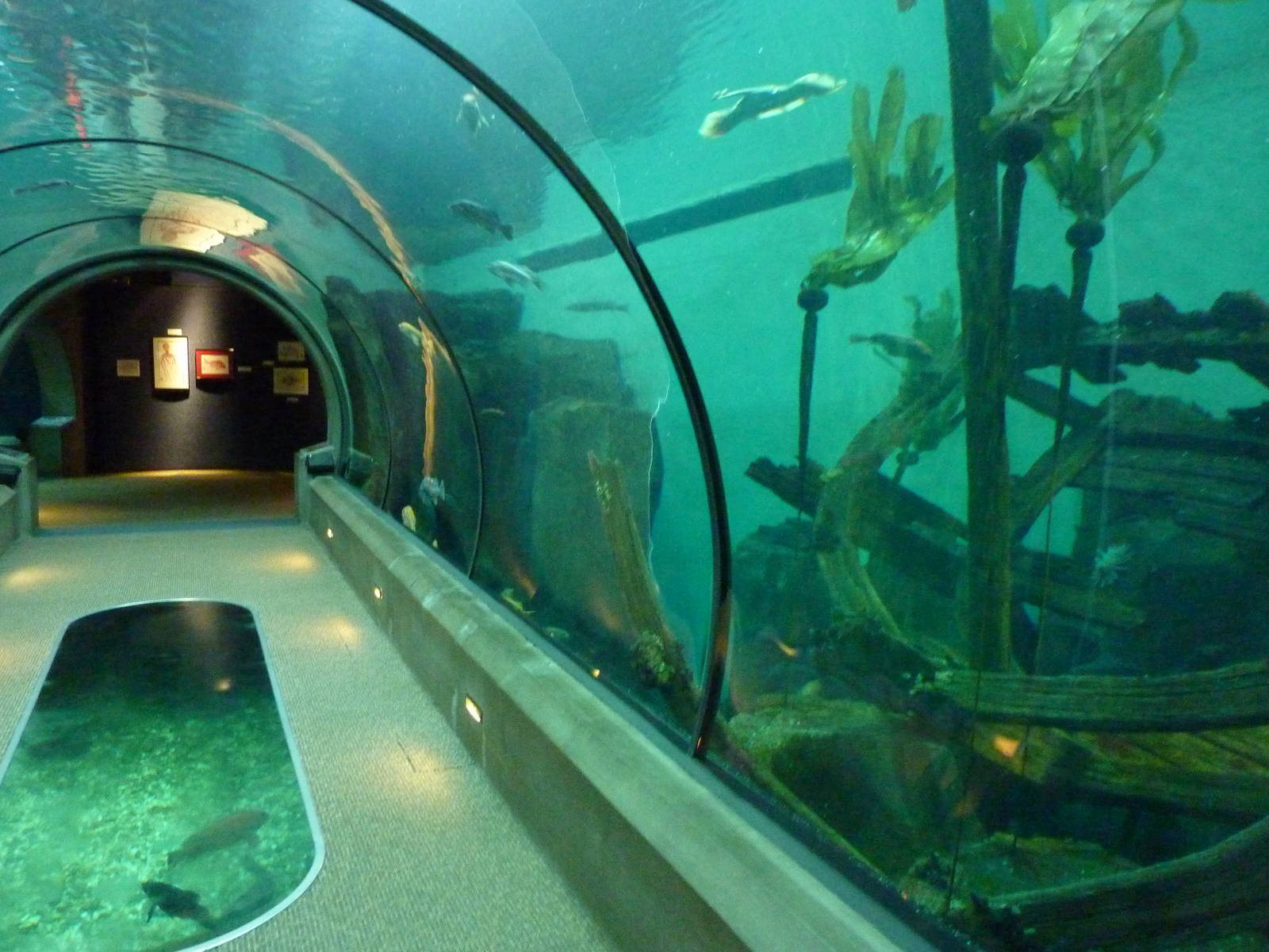 Passages of the Deep - Halibut Flats