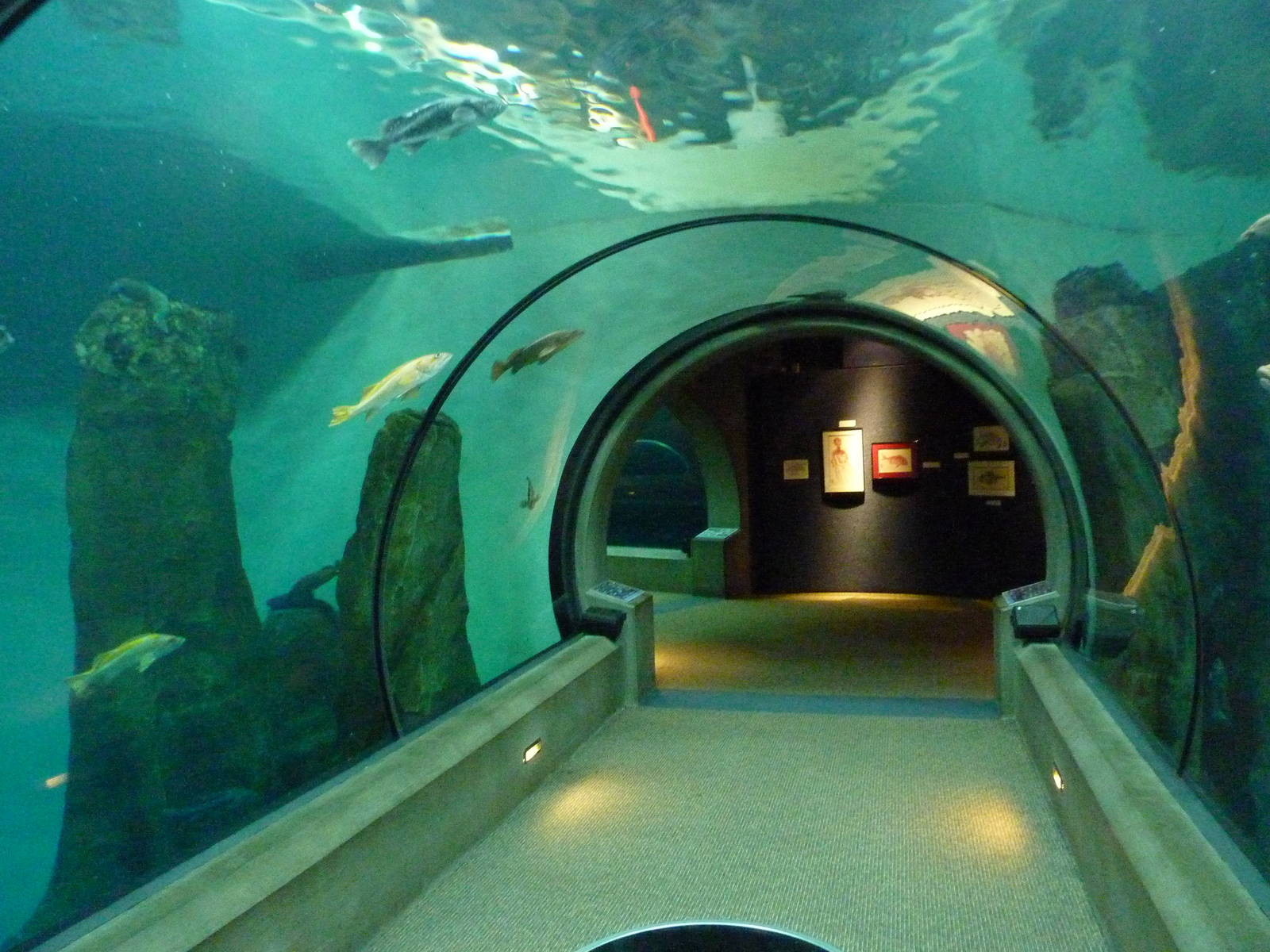 Passages of the Deep - Halibut Flats