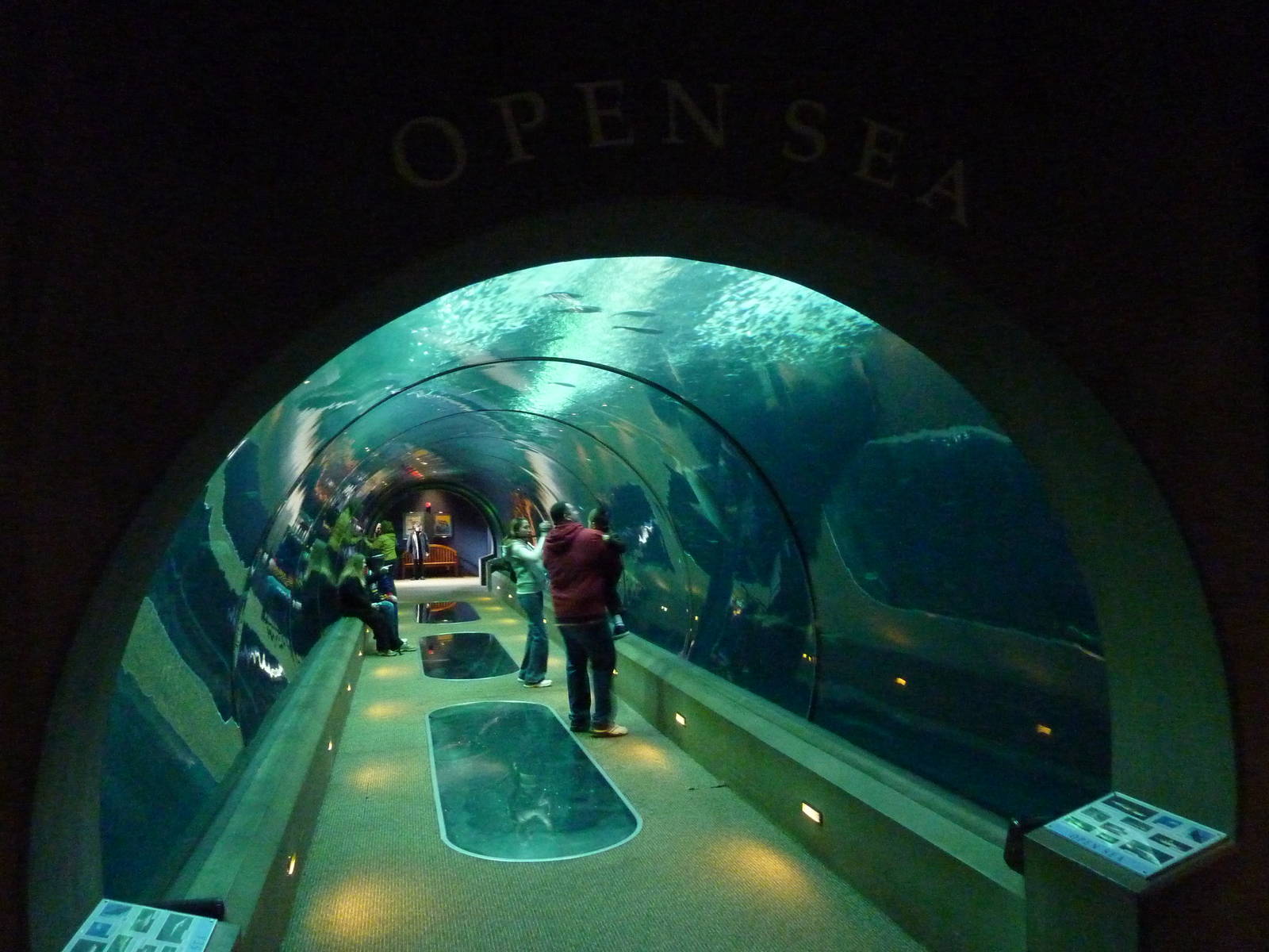 Passages of the Deep - Open Sea