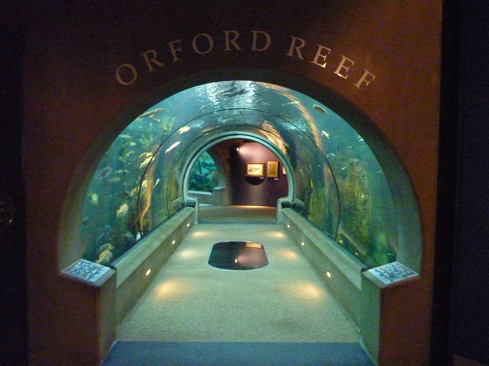 Passages of the Deep - Orford Reef