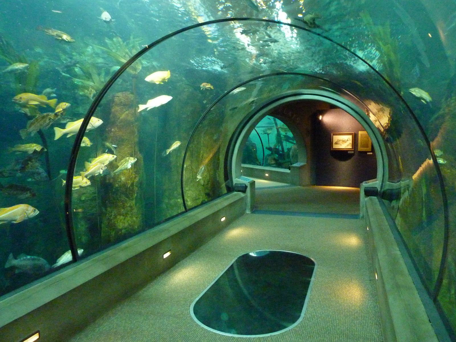 Passages of the Deep - Orford Reef