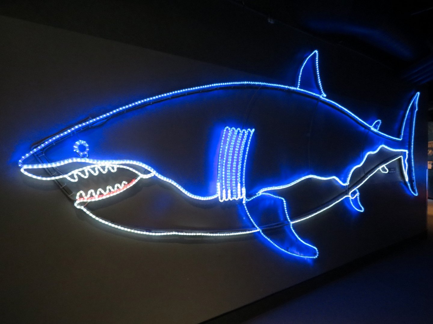 Passageway Light Display