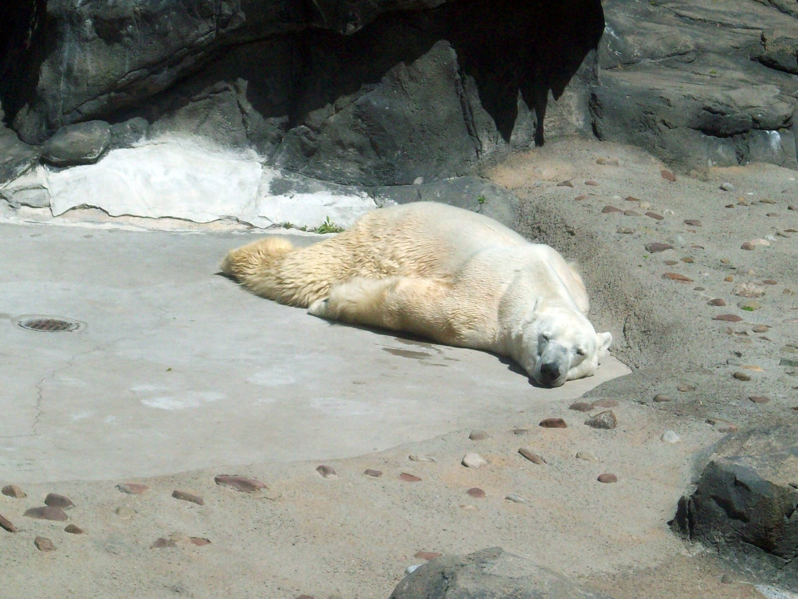 Passed out...what a night!