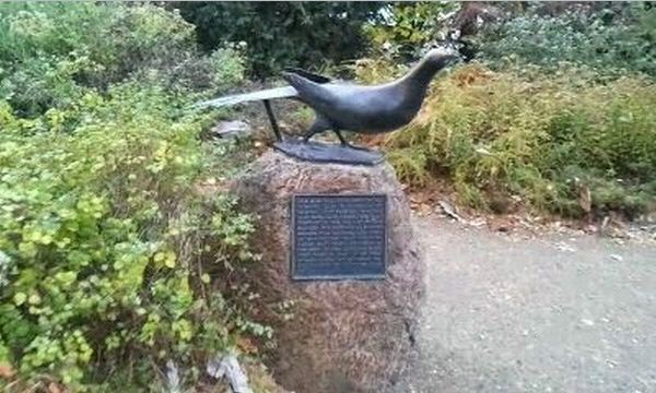Passenger Pigeon Memorial-Pigeon Statue