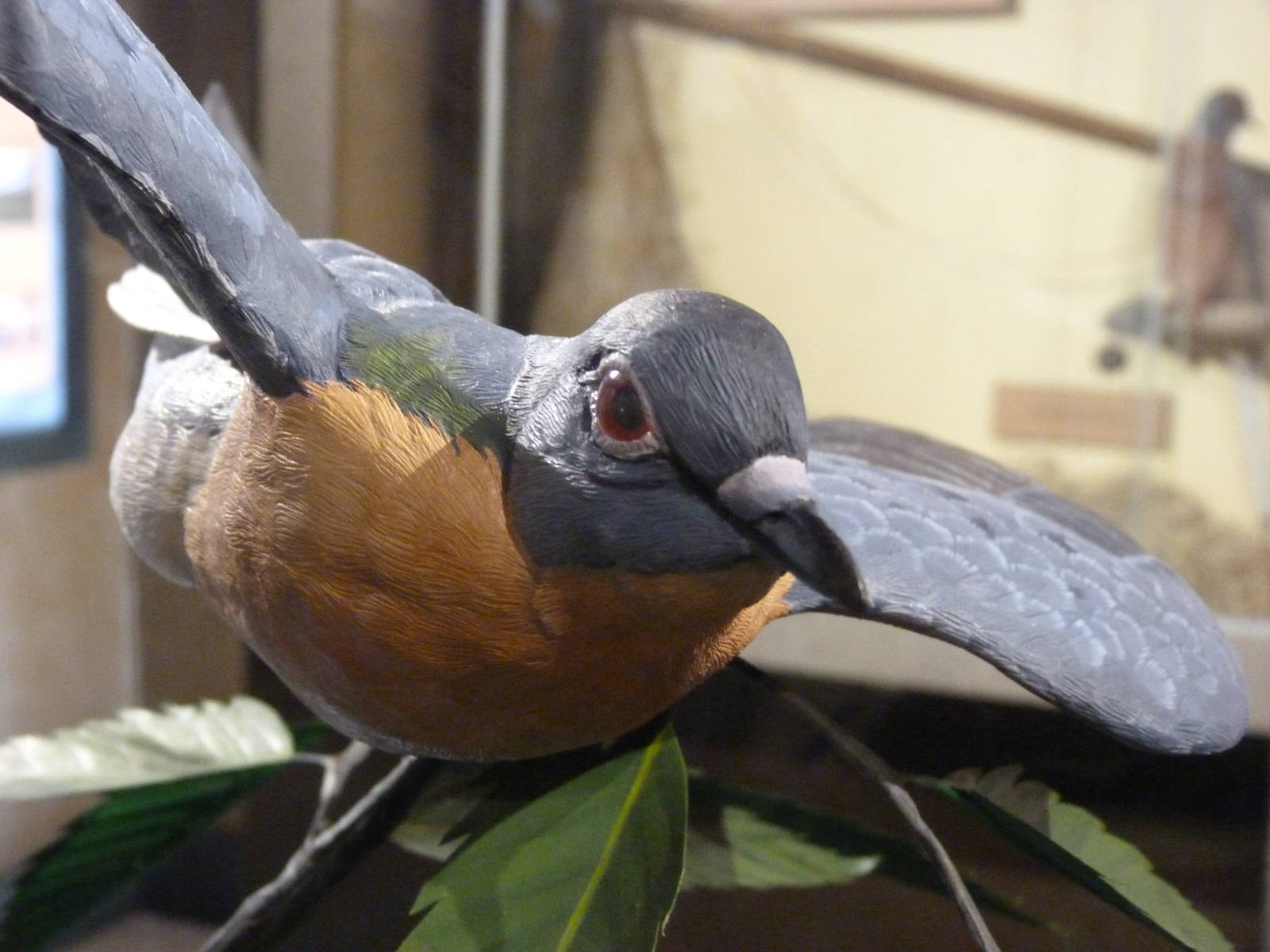 Passenger Pigeon Memorial - Sept. 2014