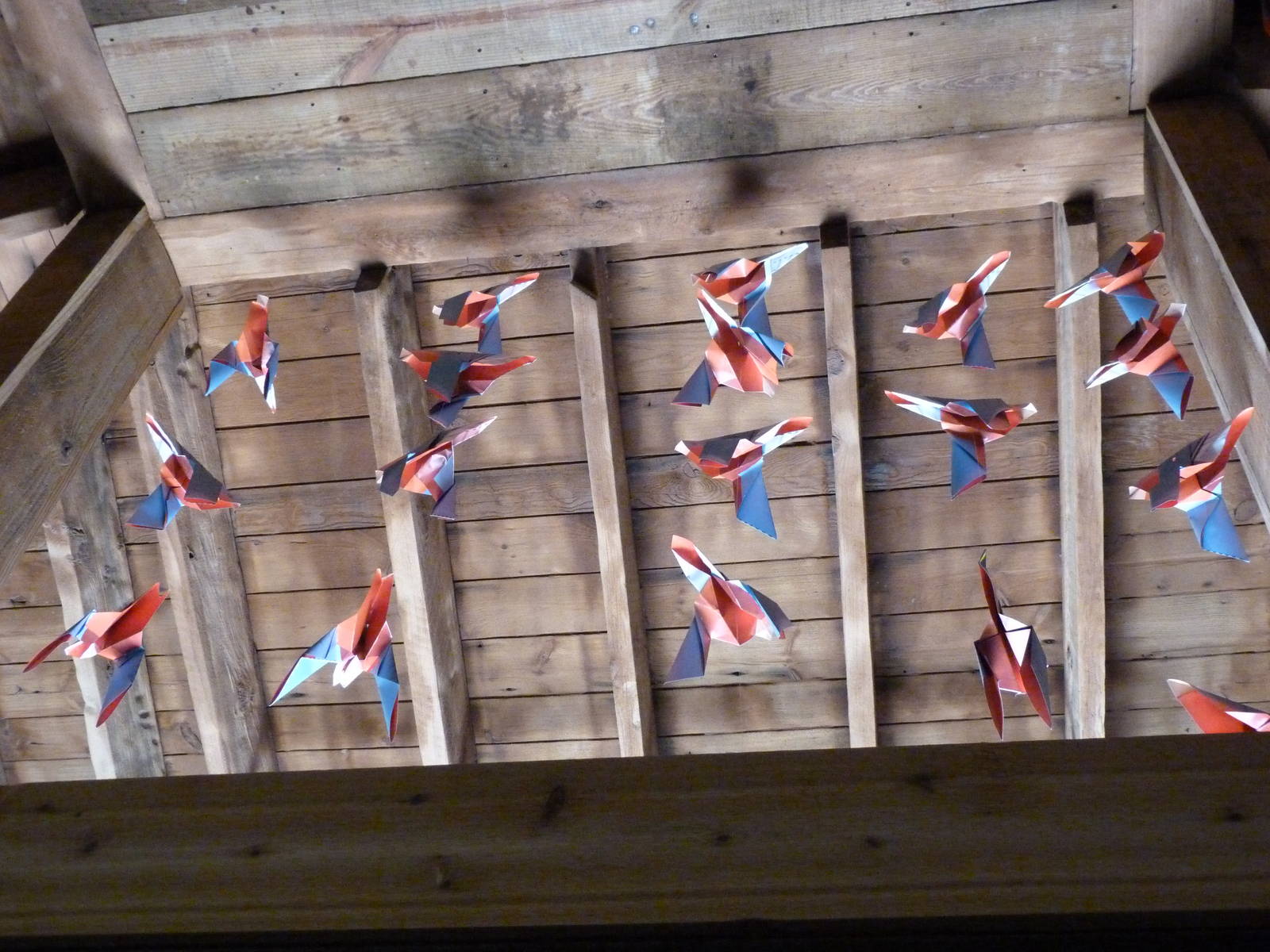 Passenger Pigeon Memorial - Sept. 2014